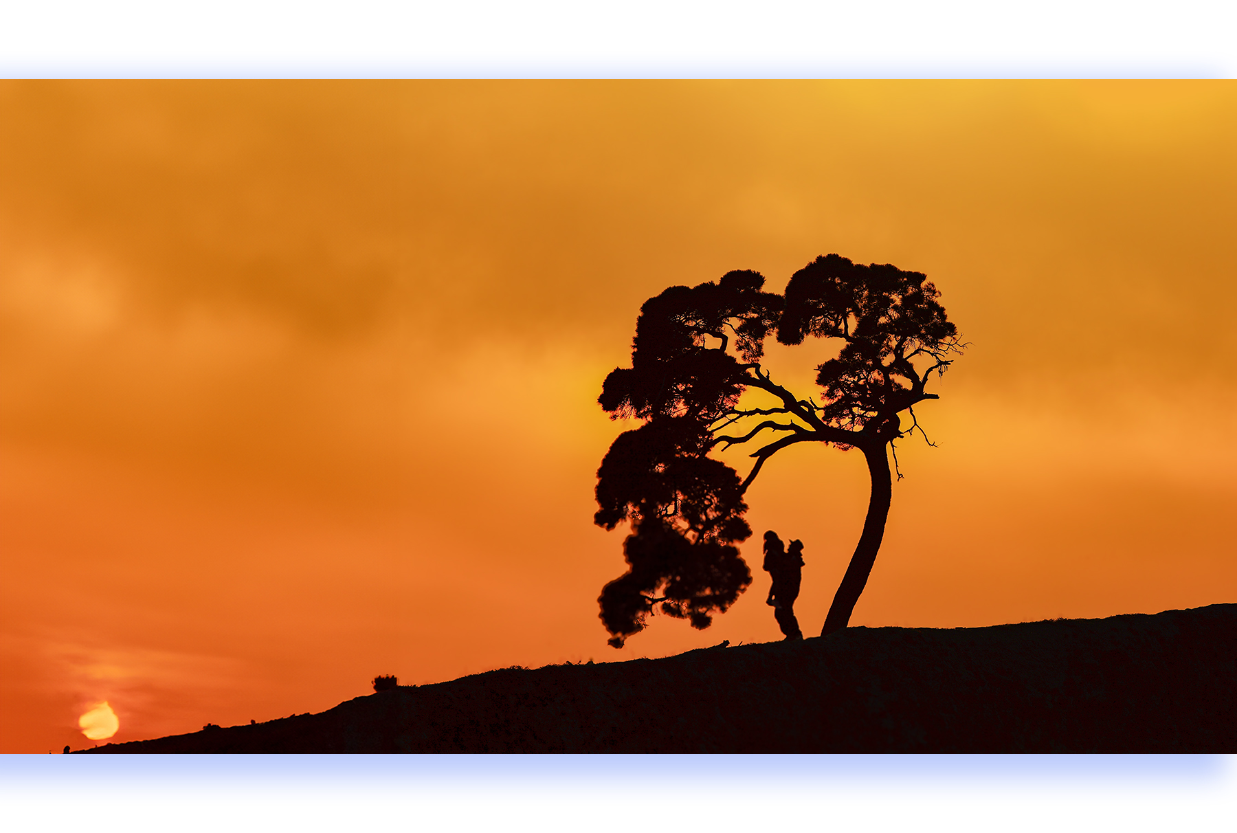 PHOTO BY Photographer:woonkwang | Canon EOS 5D Mark II | 2012:02:20 17:16:04 | ISO-100 | 1/250 sec | f 11 | 200 mm | EV=0 | ● WIDTH:1800 pixels  HEIGHT:1212 pixels