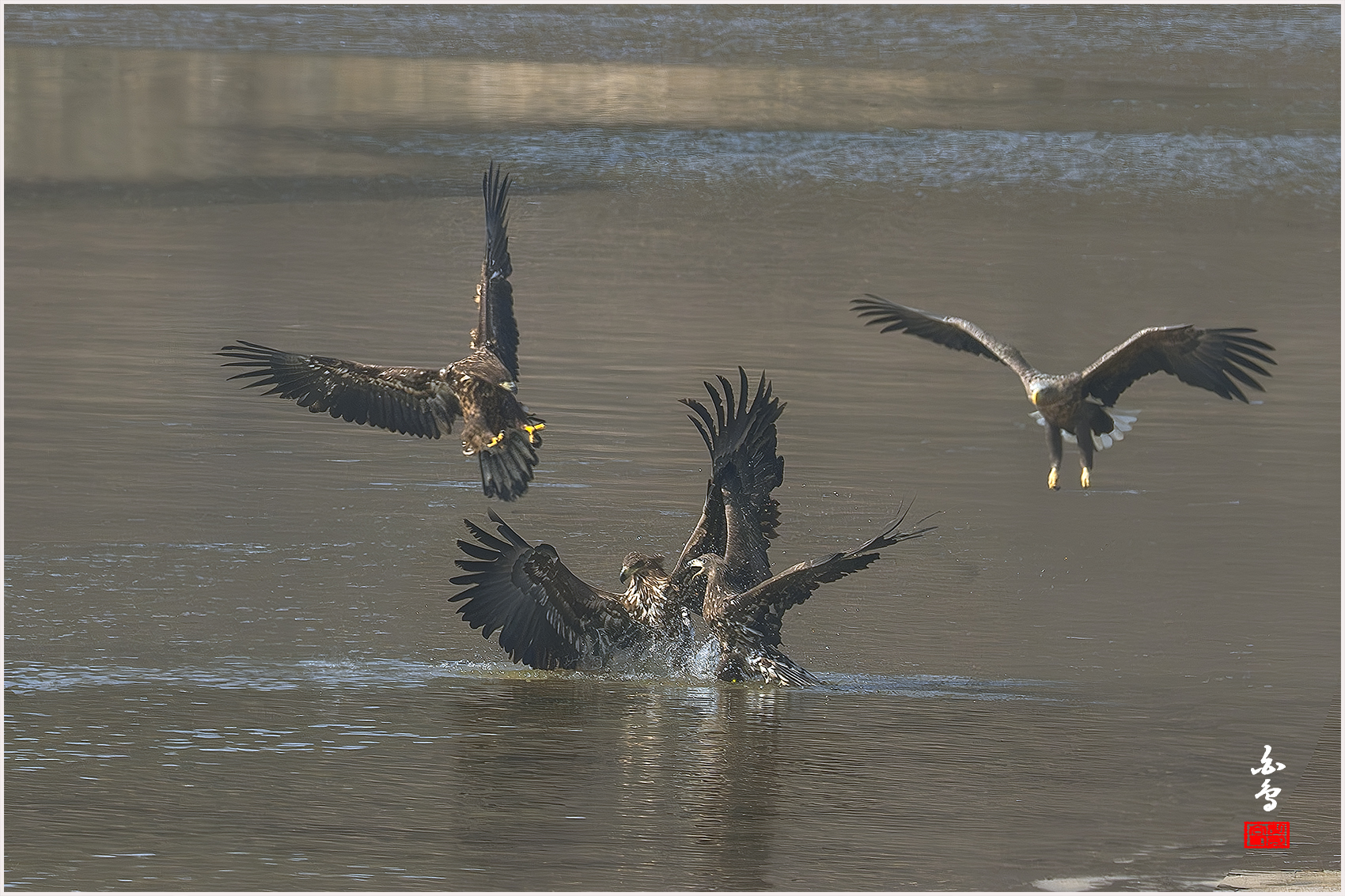 PHOTO BY  | NIKON Z 9 | 2024:01:30 12:24:10 | ISO-640 | 1/2500 sec | f 7.1 | 840 mm | EV=-0.3 | ● WIDTH:1700 pixels  HEIGHT:1133 pixels