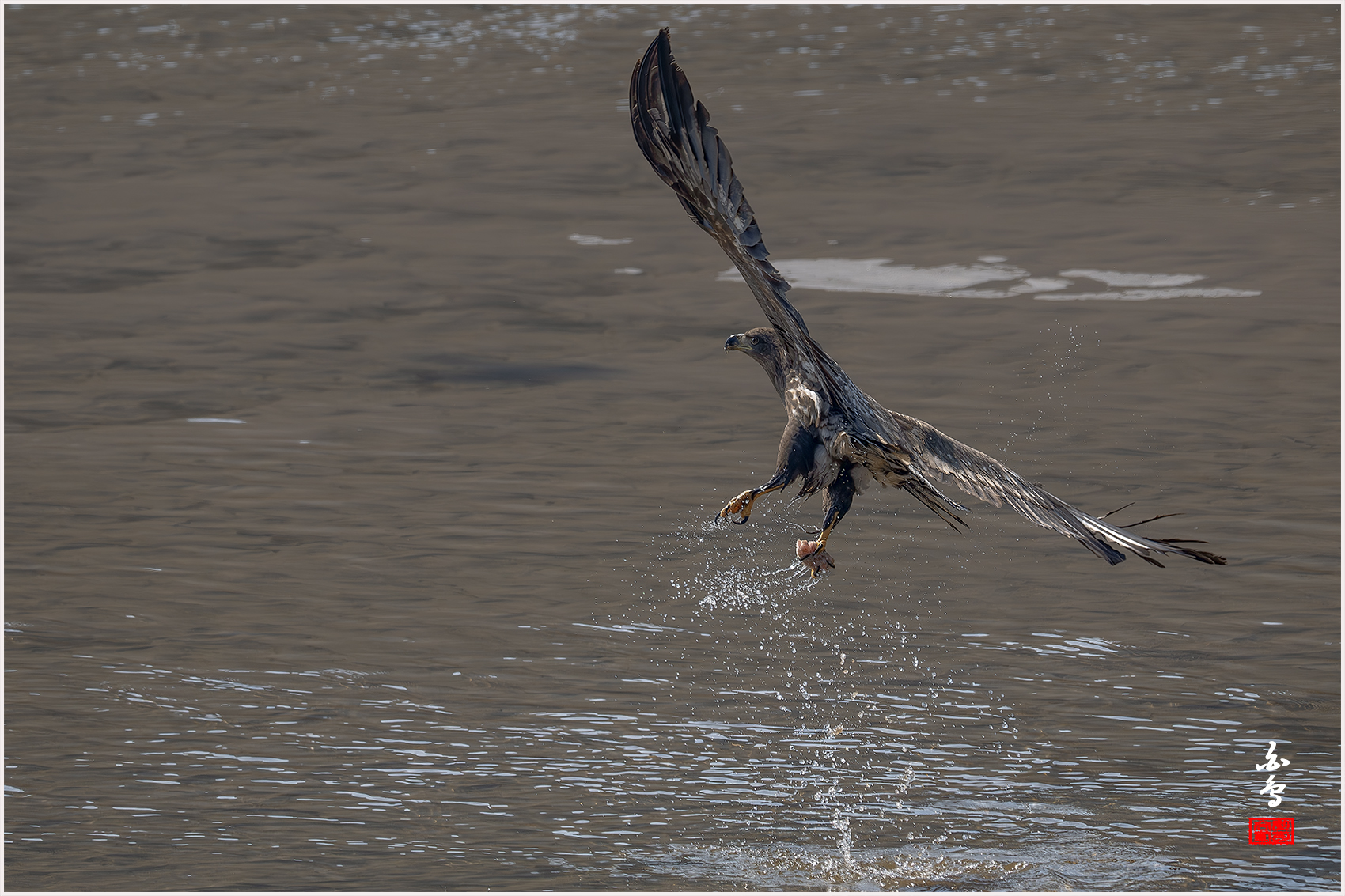 PHOTO BY  | NIKON Z 9 | 2024:01:30 12:53:36 | ISO-640 | 1/3200 sec | f 7.1 | 840 mm | EV=-0.7 | ● WIDTH:1700 pixels  HEIGHT:1133 pixels