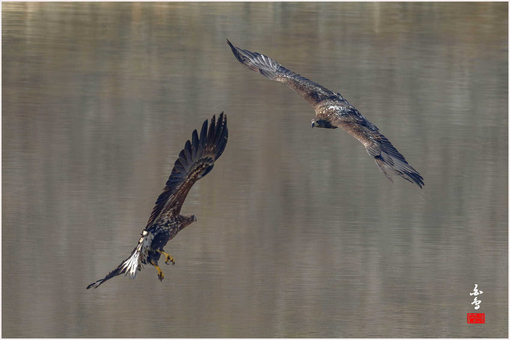 PHOTO BY  | NIKON Z 9 | 2024:01:30 12:23:36 | ISO-640 | 1/2500 sec | f 7.1 | 840 mm | EV=-0.3 | ● WIDTH:1700 pixels  HEIGHT:1133 pixels