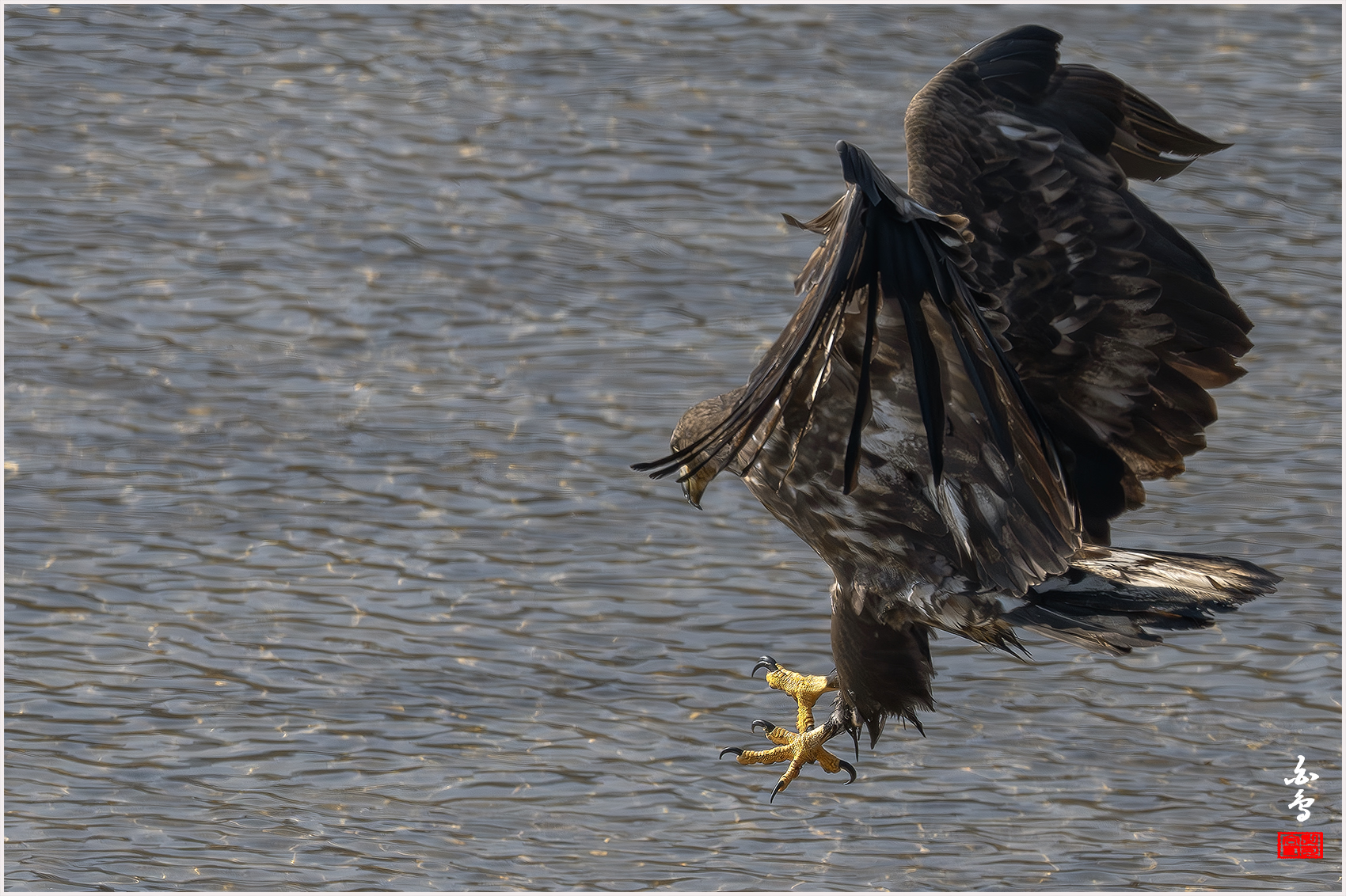 PHOTO BY  | NIKON Z 9 | 2024:01:30 12:49:22 | ISO-640 | 1/4000 sec | f 7.1 | 840 mm | EV=-0.7 | ● WIDTH:1700 pixels  HEIGHT:1132 pixels