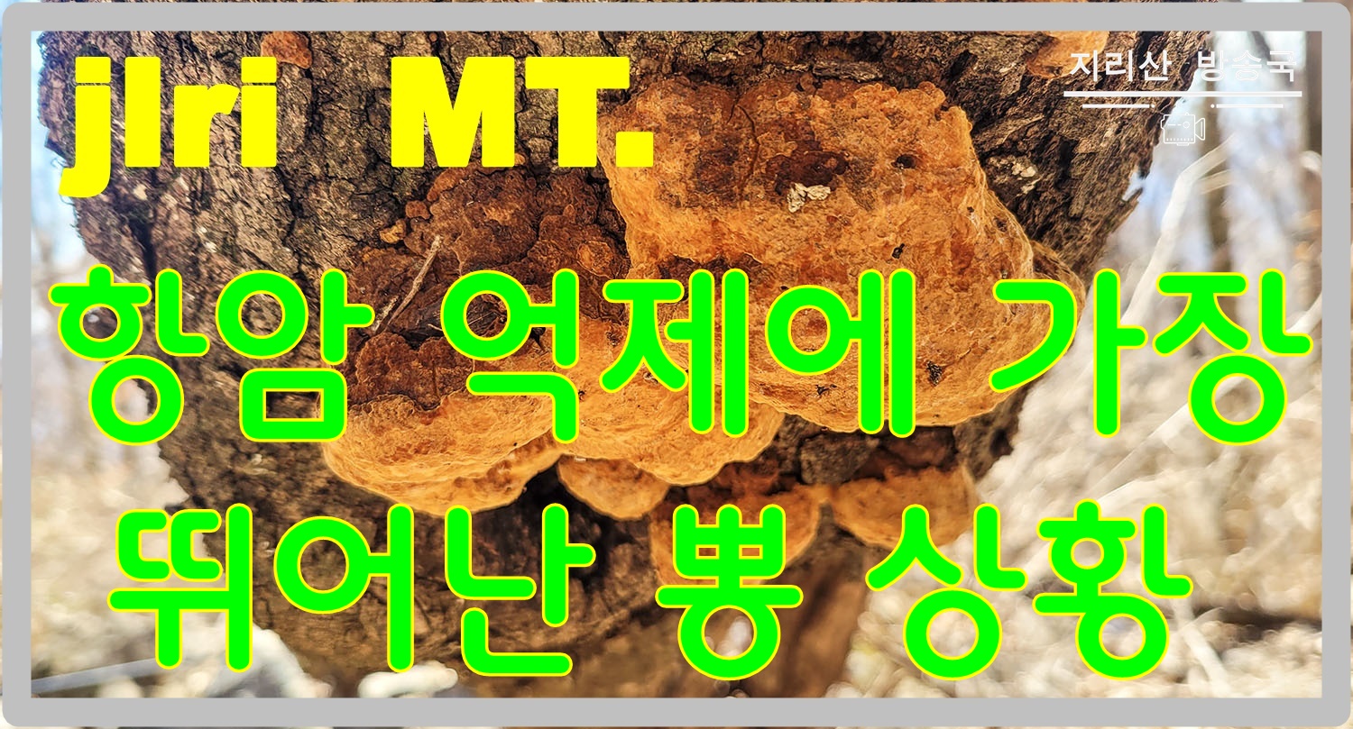 PHOTO BY  | SM-N981N | 2024:01:30 12:35:33 | ISO-40 | 1/210 sec | f 1.8 | 5.4 mm | EV=0 | ● WIDTH:1500 pixels  HEIGHT:809 pixels