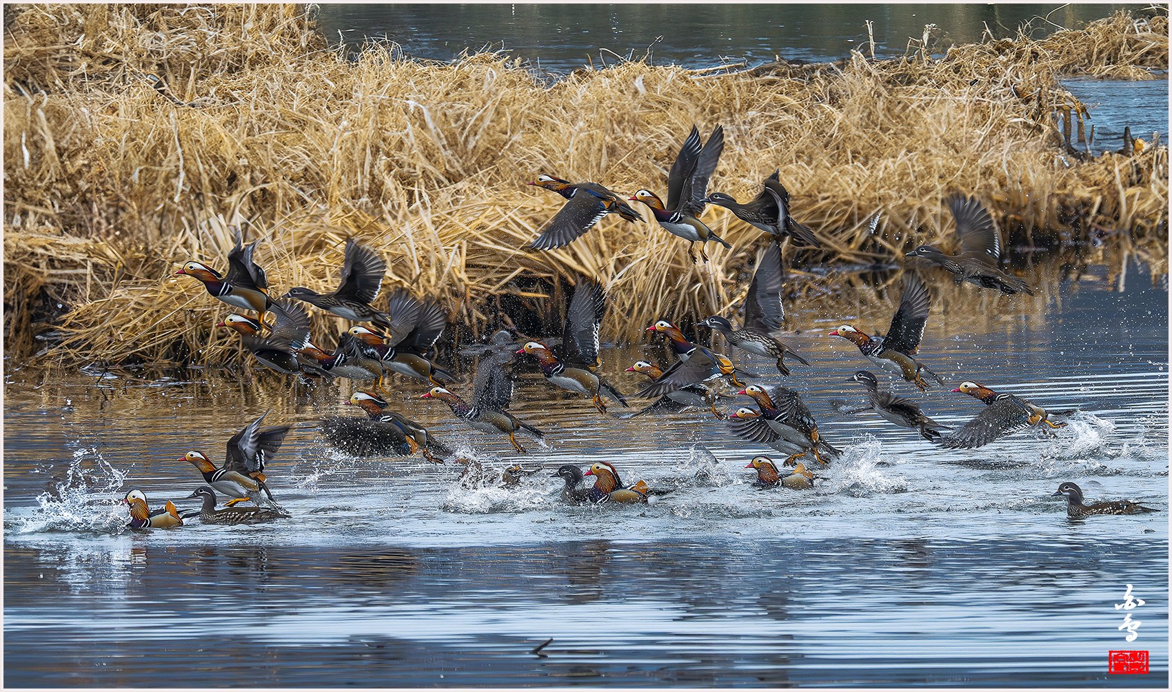 PHOTO BY  | NIKON Z 9 | 2024:02:04 08:50:03 | ISO-3200 | 1/1000 sec | f 8 | 1176 mm | EV=-0.3 | ● WIDTH:0 pixels  HEIGHT:0 pixels