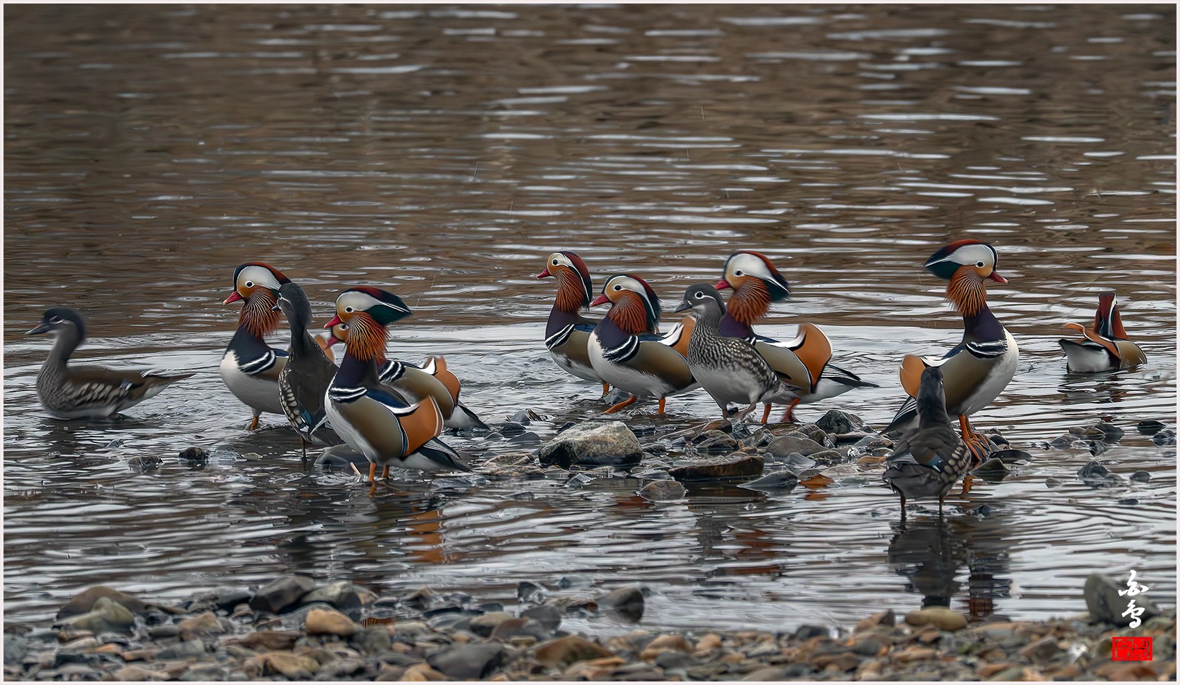 PHOTO BY  | NIKON Z 9 | 2024:02:04 07:29:12 | ISO-8000 | 1/80 sec | f 8 | 1176 mm | EV=-0.3 | ● WIDTH:0 pixels  HEIGHT:0 pixels