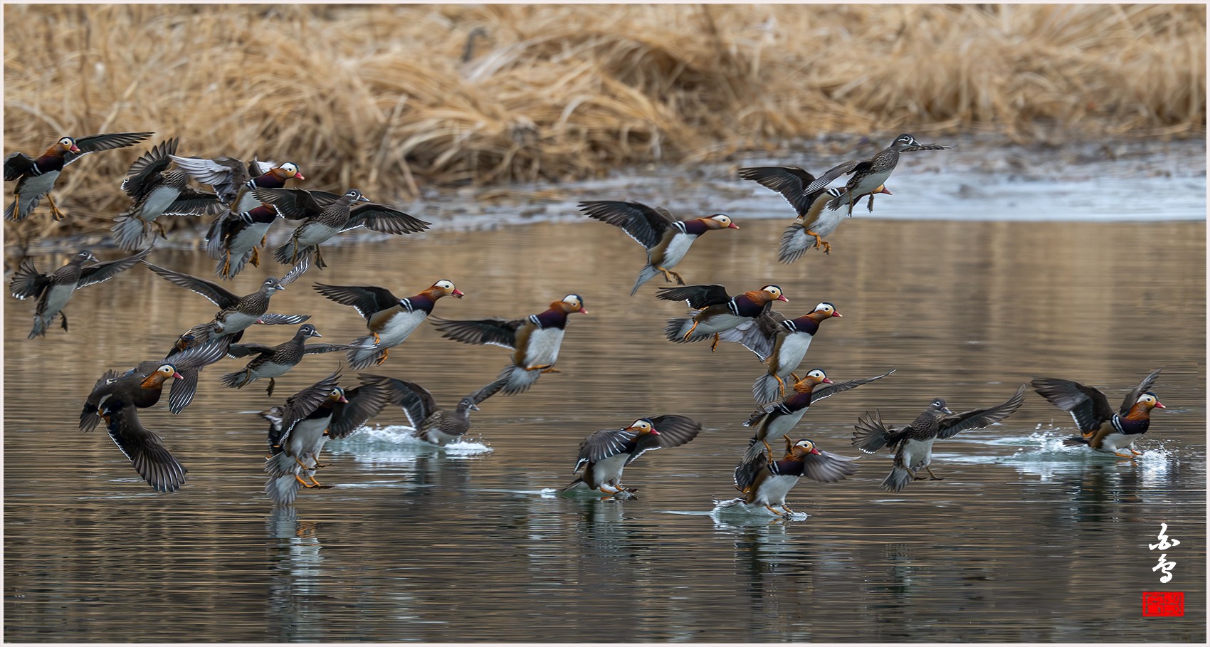 PHOTO BY  | NIKON Z 9 | 2024:02:04 10:19:08 | ISO-1600 | 1/1250 sec | f 6.3 | 840 mm | EV=0 | ● WIDTH:0 pixels  HEIGHT:0 pixels