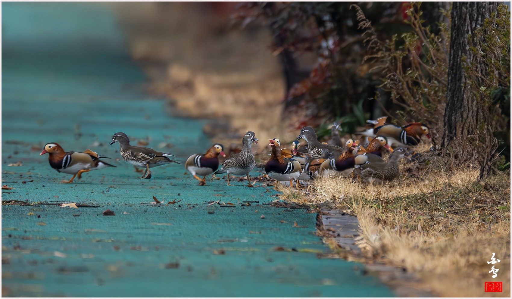 PHOTO BY  | NIKON Z 9 | 2024:02:04 08:52:33 | ISO-3200 | 1/500 sec | f 8 | 1176 mm | EV=-0.3 | ● WIDTH:0 pixels  HEIGHT:0 pixels