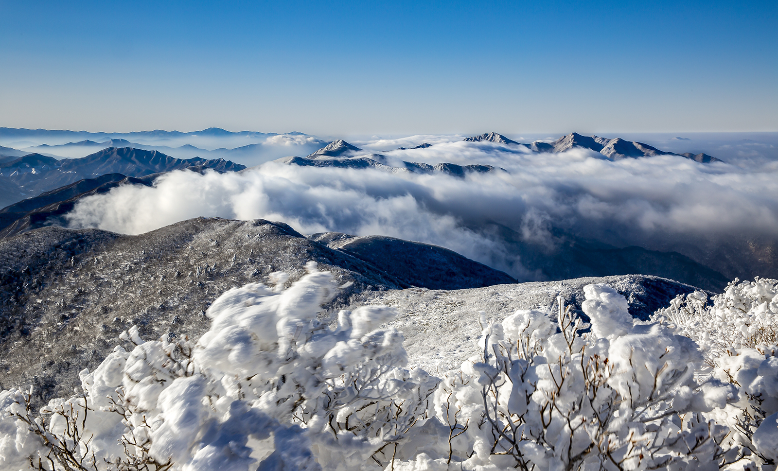 PHOTO BY MINKYUKIM | Canon EOS 5D Mark III | 2024:01:26 09:02:12 | ISO-200 | 1/5 sec | f 22 | 39 mm | EV=0 | ● WIDTH:1600 pixels  HEIGHT:969 pixels