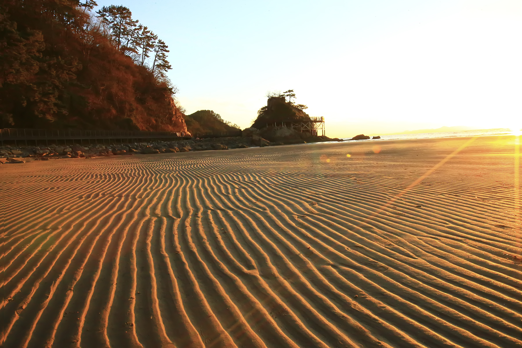 PHOTO BY WO2YA LAB | Canon EOS-1D X Mark II | 2024:01:15 16:00:52 | ISO-3200 | 1/2000 sec | f 16 | 271 mm | EV=0 | ● WIDTH:1800 pixels  HEIGHT:1200 pixels