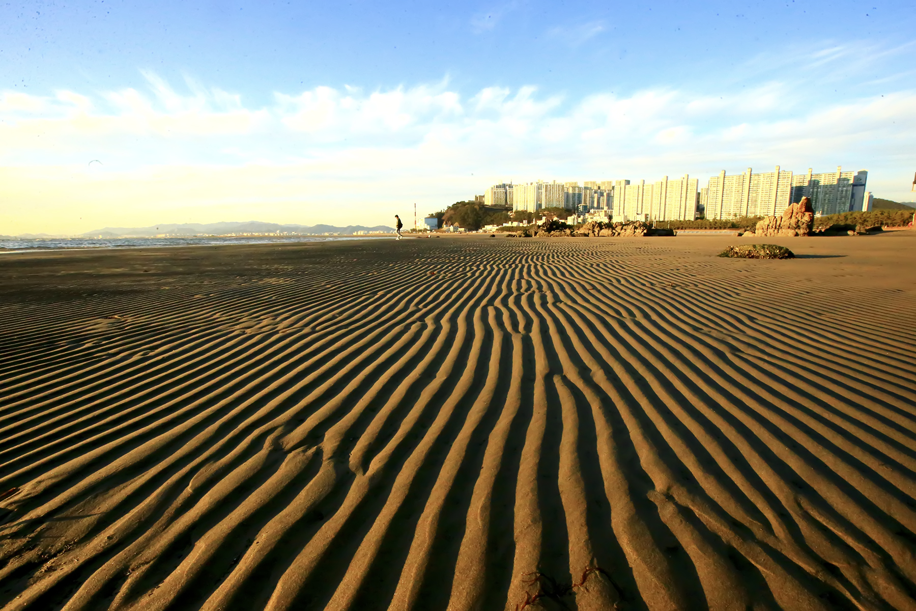 PHOTO BY WO2YA LAB | Canon EOS-1D X Mark II | 2024:01:15 16:00:52 | ISO-3200 | 1/2000 sec | f 16 | 271 mm | EV=0 | ● WIDTH:1800 pixels  HEIGHT:1200 pixels