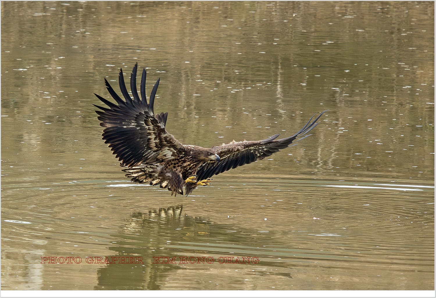 PHOTO BY  | NIKON D850 | 2024:02:06 11:26:06 | ISO-800 | 1/1250 sec | f 6.3 | 850 mm | EV=0 | ● WIDTH:3486 pixels  HEIGHT:2324 pixels