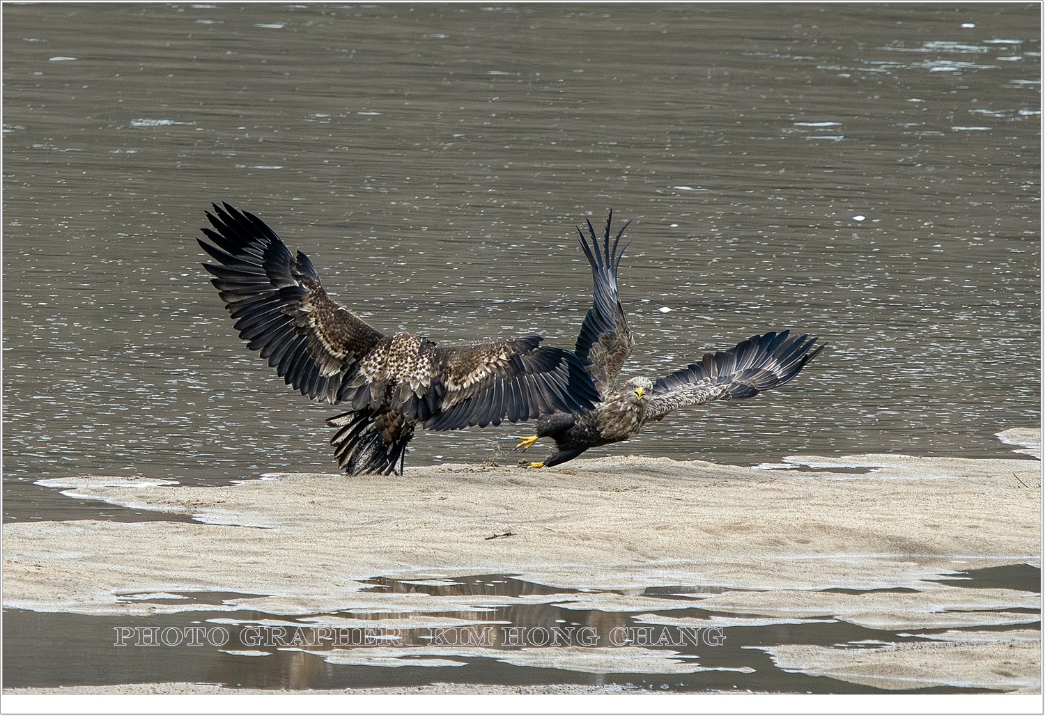 PHOTO BY  | NIKON D850 | 2024:02:06 13:40:15 | ISO-800 | 1/1600 sec | f 7.1 | 850 mm | EV=0 | ● WIDTH:2983 pixels  HEIGHT:1989 pixels