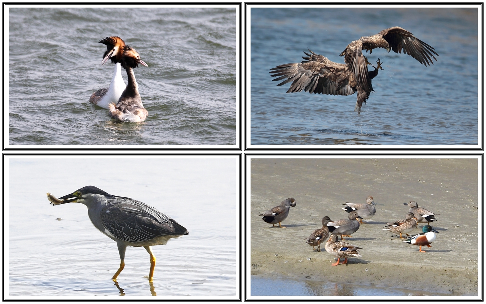 | PHOTO BY : 청산이종원  |