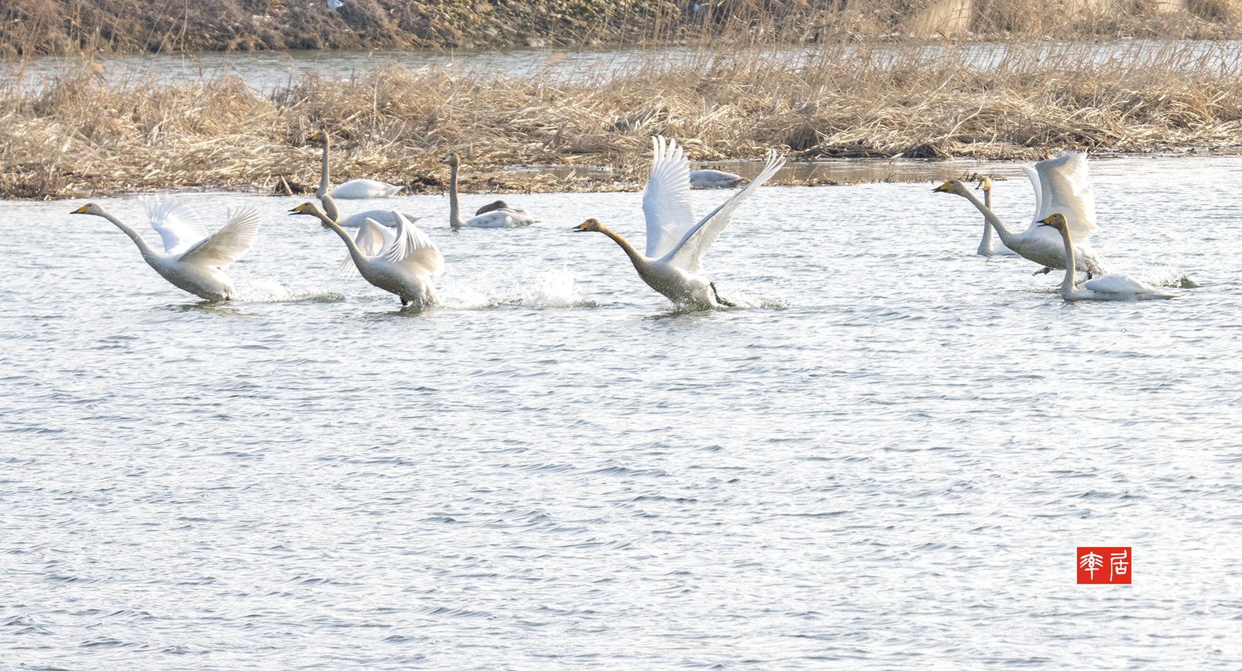 PHOTO BY changikheun | Canon EOS 90D | 2024:02:07 09:31:13 | ISO-1250 | 1/1600 sec | f 9 | 220 mm | EV=0 | ● WIDTH:1800 pixels  HEIGHT:973 pixels