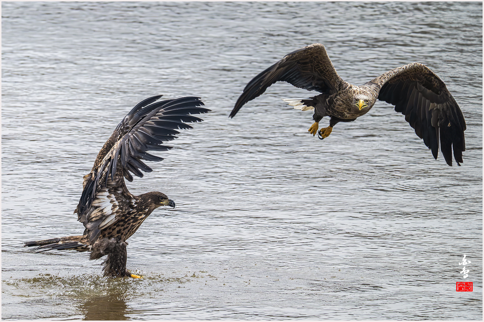 PHOTO BY  | NIKON Z 9 | 2024:02:06 09:35:03 | ISO-1600 | 1/1250 sec | f 8 | 1176 mm | EV=0 | ● WIDTH:1700 pixels  HEIGHT:1133 pixels