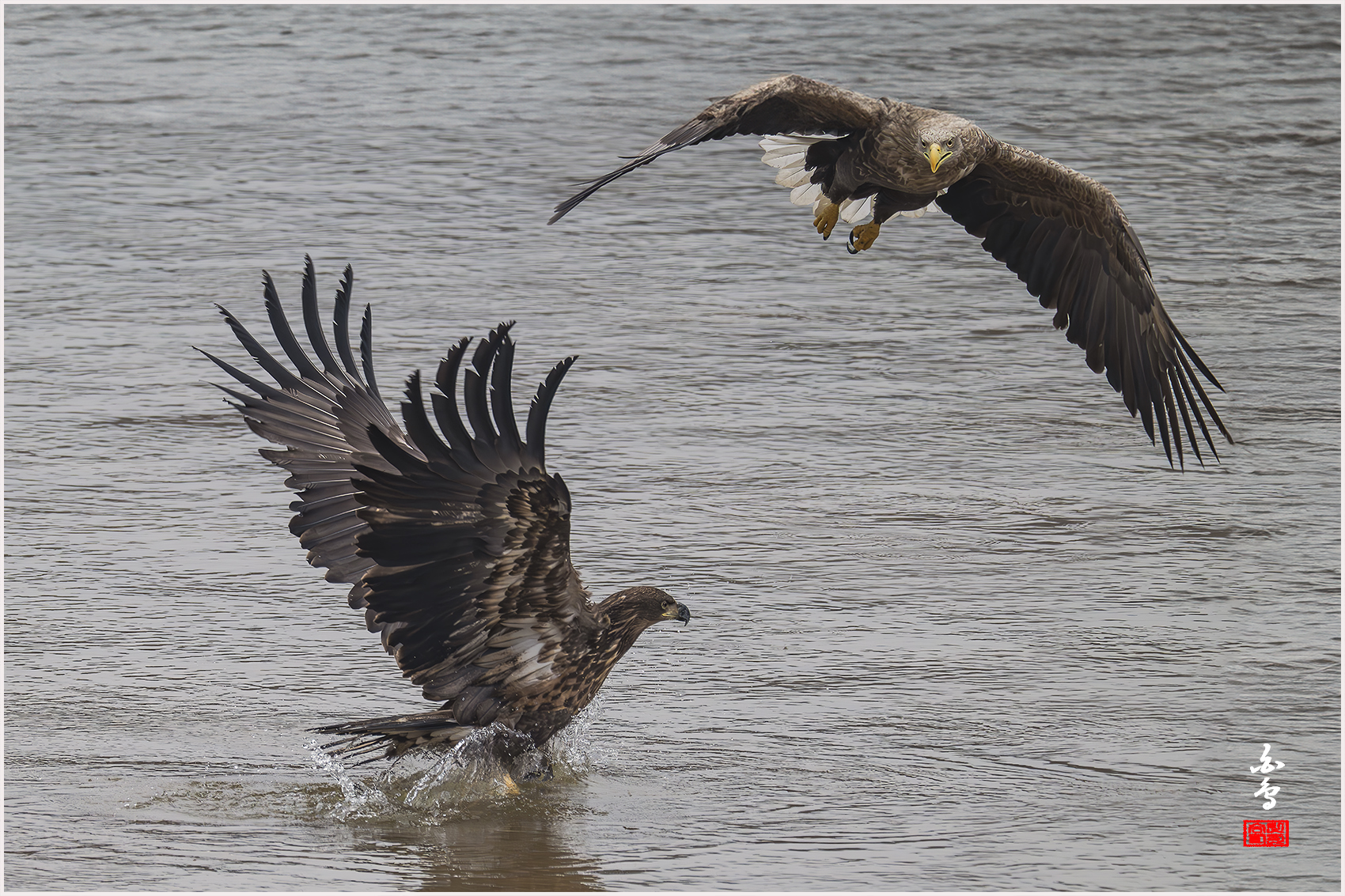 PHOTO BY  | NIKON Z 9 | 2024:02:06 09:35:02 | ISO-1600 | 1/1250 sec | f 8 | 1176 mm | EV=0 | ● WIDTH:1700 pixels  HEIGHT:1133 pixels