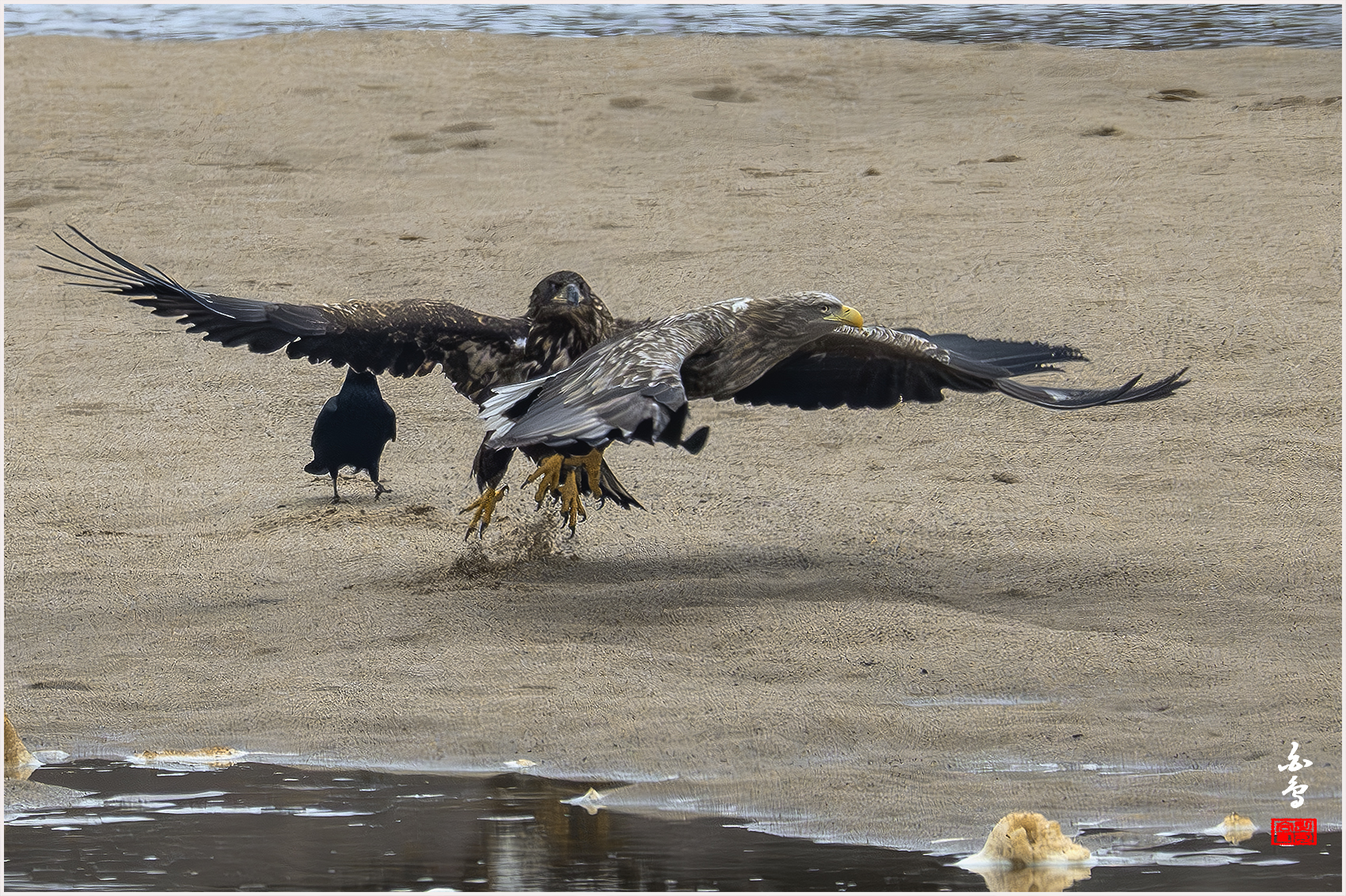 PHOTO BY  | NIKON Z 9 | 2024:02:06 09:31:12 | ISO-1600 | 1/1600 sec | f 8 | 1176 mm | EV=0 | ● WIDTH:1700 pixels  HEIGHT:1132 pixels