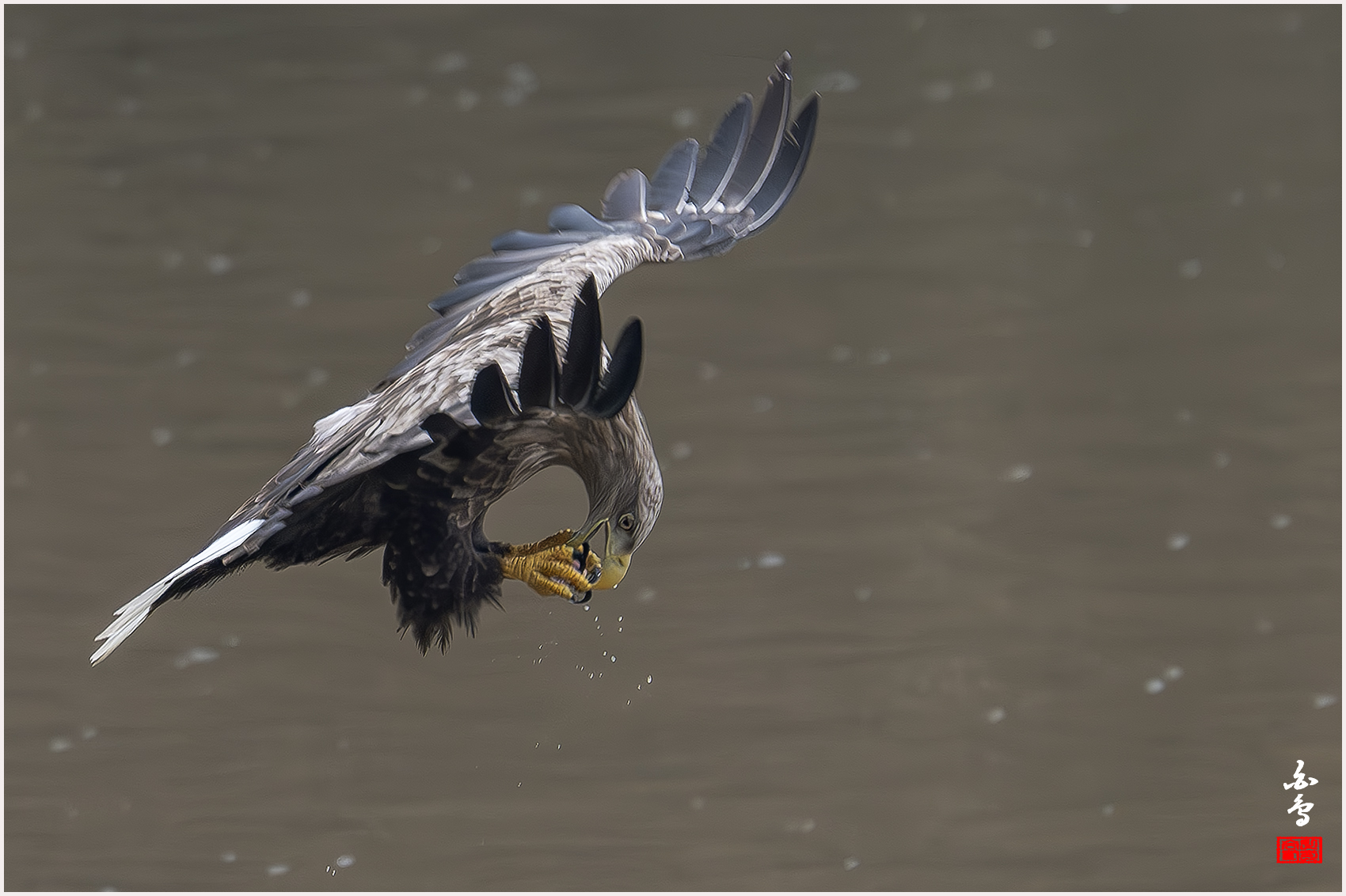 PHOTO BY  | NIKON Z 9 | 2024:02:06 09:26:22 | ISO-1600 | 1/1000 sec | f 6.3 | 840 mm | EV=0 | ● WIDTH:1700 pixels  HEIGHT:1132 pixels