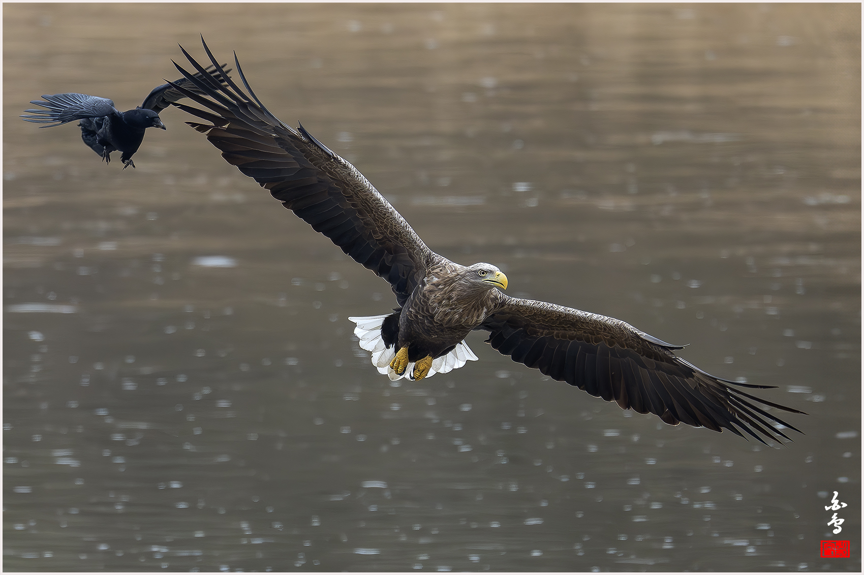 PHOTO BY  | NIKON Z 9 | 2024:02:06 09:26:35 | ISO-1600 | 1/1000 sec | f 6.3 | 840 mm | EV=0 | ● WIDTH:1700 pixels  HEIGHT:1132 pixels