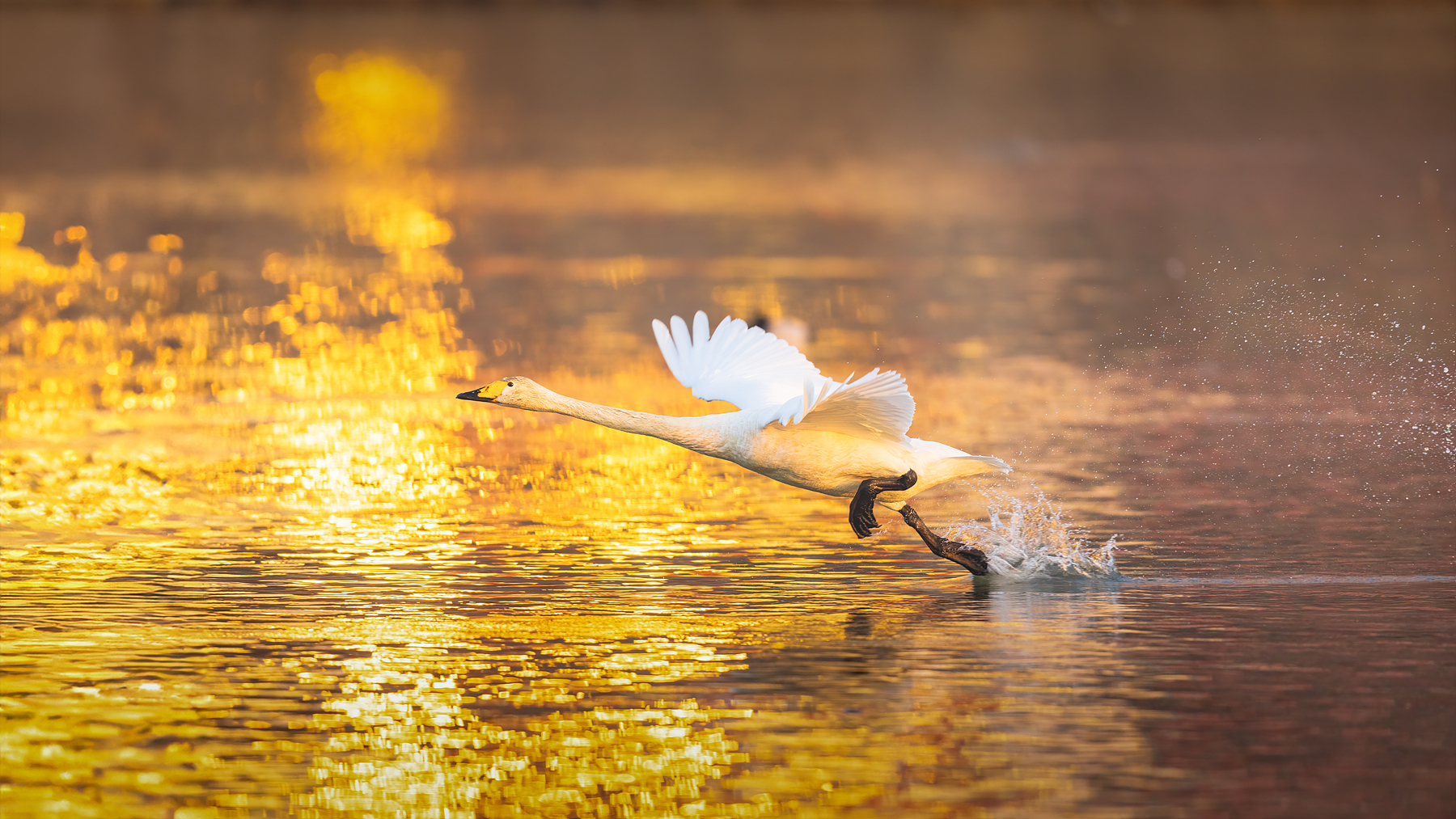 | PHOTO BY : 조현래  |