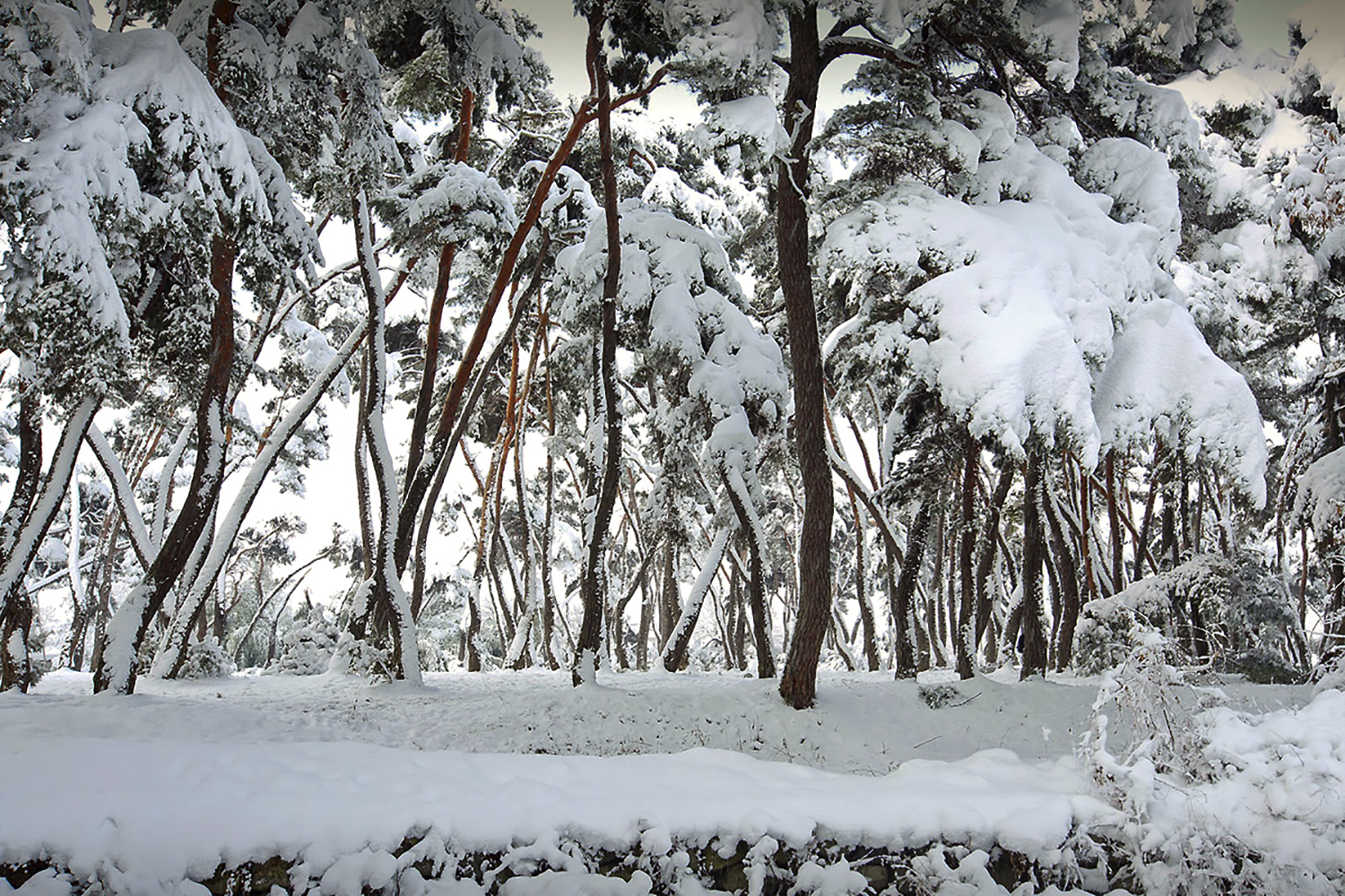 PHOTO BY  | CanonCanon  |  | ISO- |  |  |  | EV=0 | ● WIDTH:  HEIGHT: