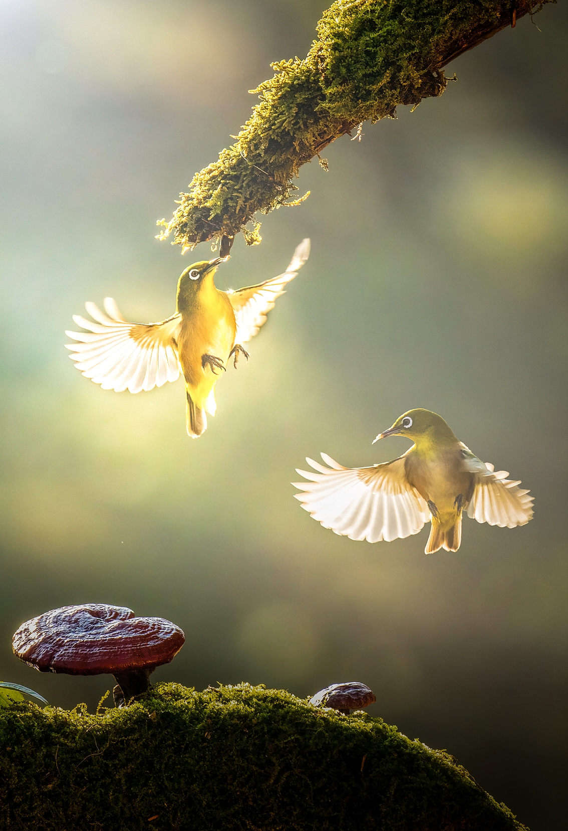 | PHOTO BY : 조현래  |