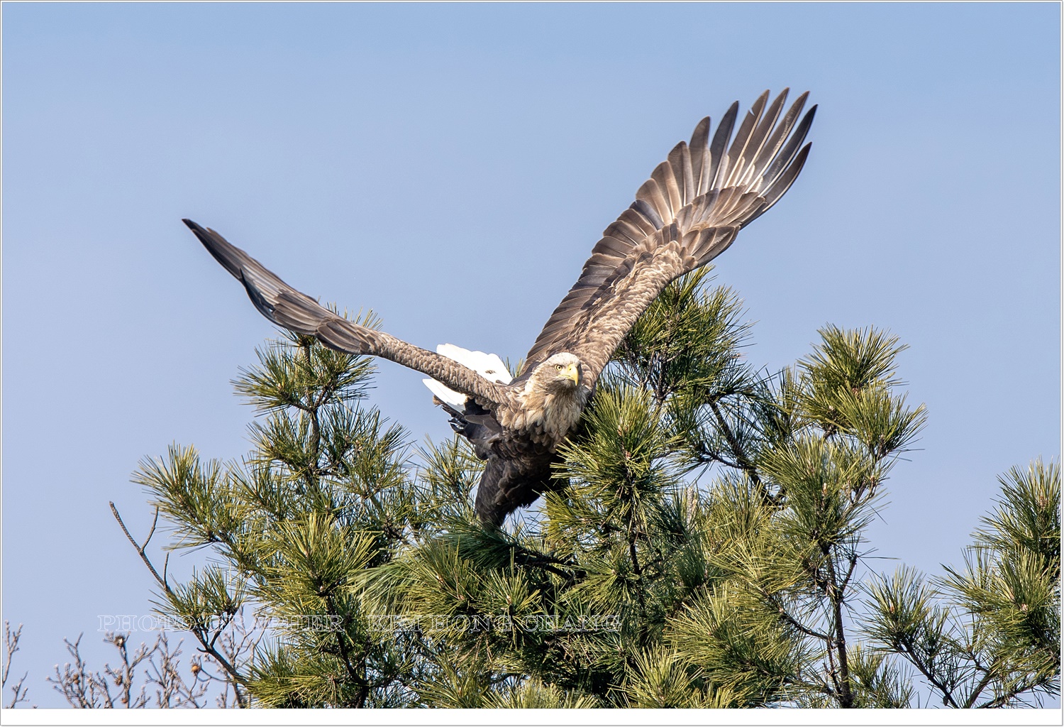 PHOTO BY  | NIKON D850 | 2024:02:08 11:20:35 | ISO-400 | 1/1600 sec | f 8 | 850 mm | EV=0 | ● WIDTH:3552 pixels  HEIGHT:2368 pixels