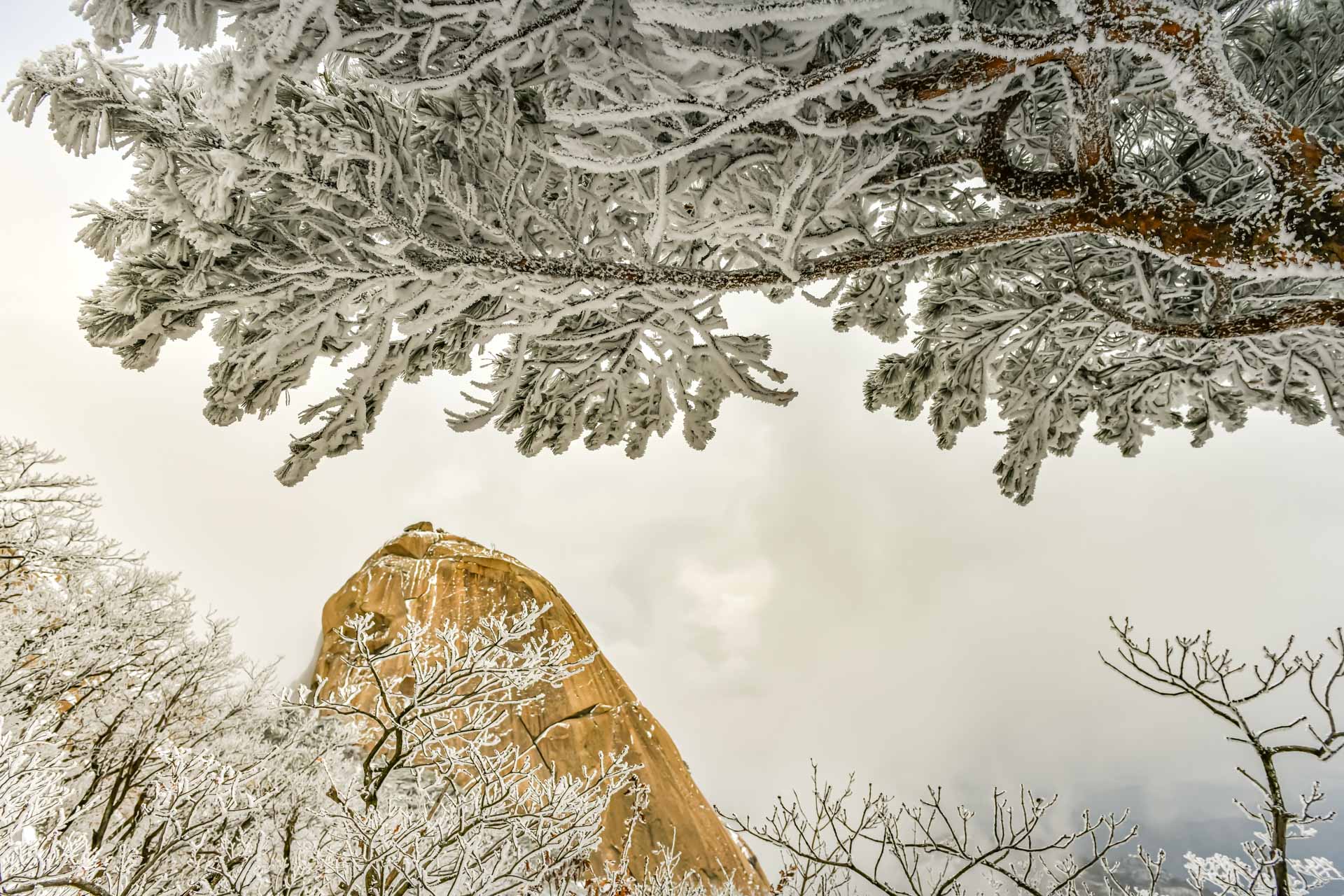 PHOTO BY Jae Ik Lee | NIKON D850 | 2024:02:07 09:55:32 | ISO-200 | 1/100 sec | f 5.6 | 24 mm | EV=0.7 | ● WIDTH:  HEIGHT: