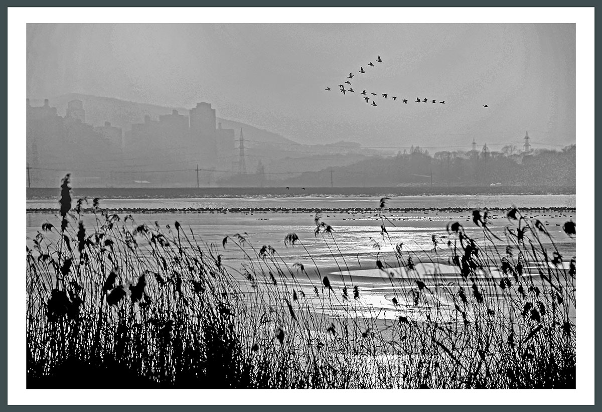 | PHOTO BY : 대심/강대형  |