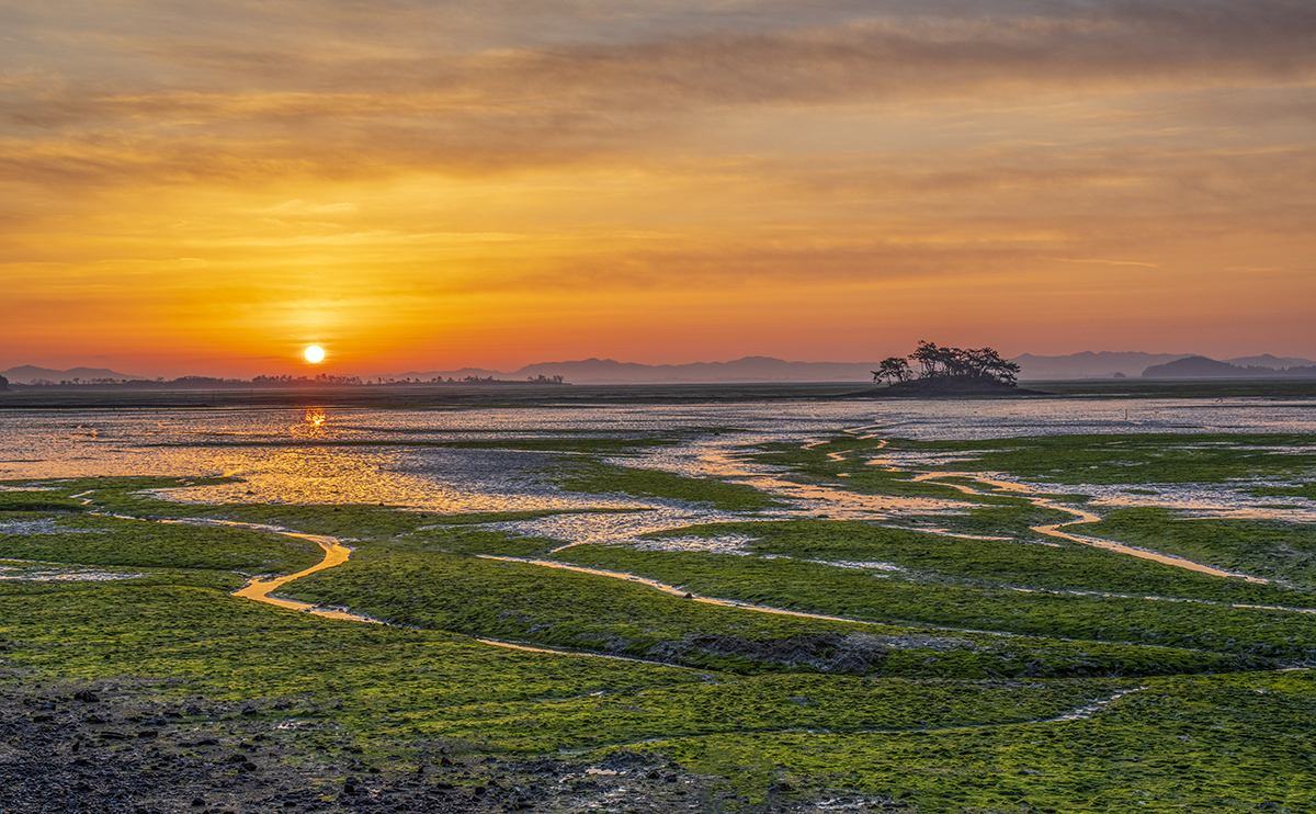 PHOTO BY  | NIKON D850 | 2024:02:09 07:30:40 | ISO-200 | 1/125 sec | f 8 | 52 mm | EV=0 | ● WIDTH:1200 pixels  HEIGHT:742 pixels