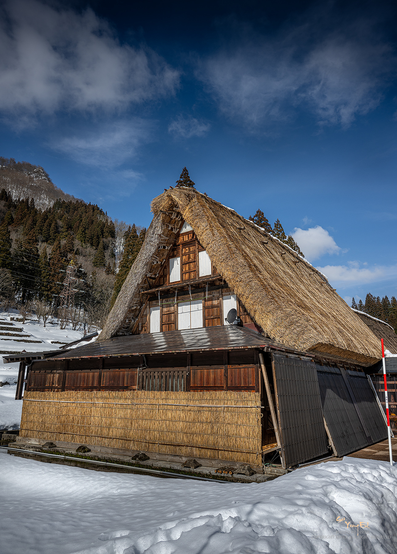 PHOTO BY  | NIKON Z 9 | 2024:02:03 13:42:14 | ISO-100 | 1/500 sec | f 8 | 24 mm | EV=0 | ● WIDTH:1290 pixels  HEIGHT:1800 pixels