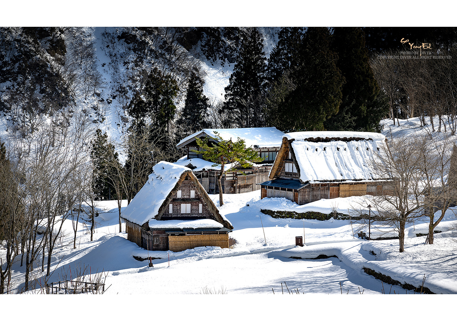 PHOTO BY  | NIKON Z 9 | 2024:02:03 13:09:45 | ISO-100 | 1/200 sec | f 11 | 110 mm | EV=0 | ● WIDTH:1600 pixels  HEIGHT:1126 pixels