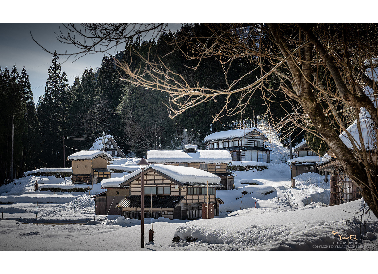 PHOTO BY  | NIKON Z 9 | 2024:02:03 13:20:10 | ISO-100 | 1/400 sec | f 9 | 52 mm | EV=0 | ● WIDTH:1600 pixels  HEIGHT:1159 pixels