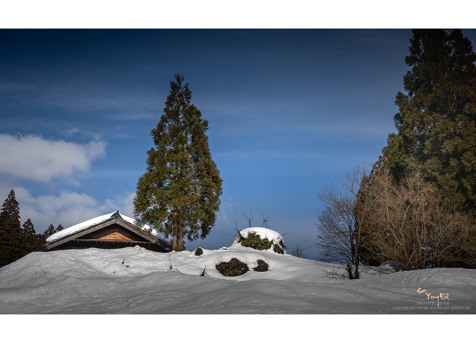 PHOTO BY  | NIKON Z 9 | 2024:02:03 13:38:14 | ISO-100 | 1/800 sec | f 8 | 39 mm | EV=0 | ● WIDTH:1600 pixels  HEIGHT:1153 pixels