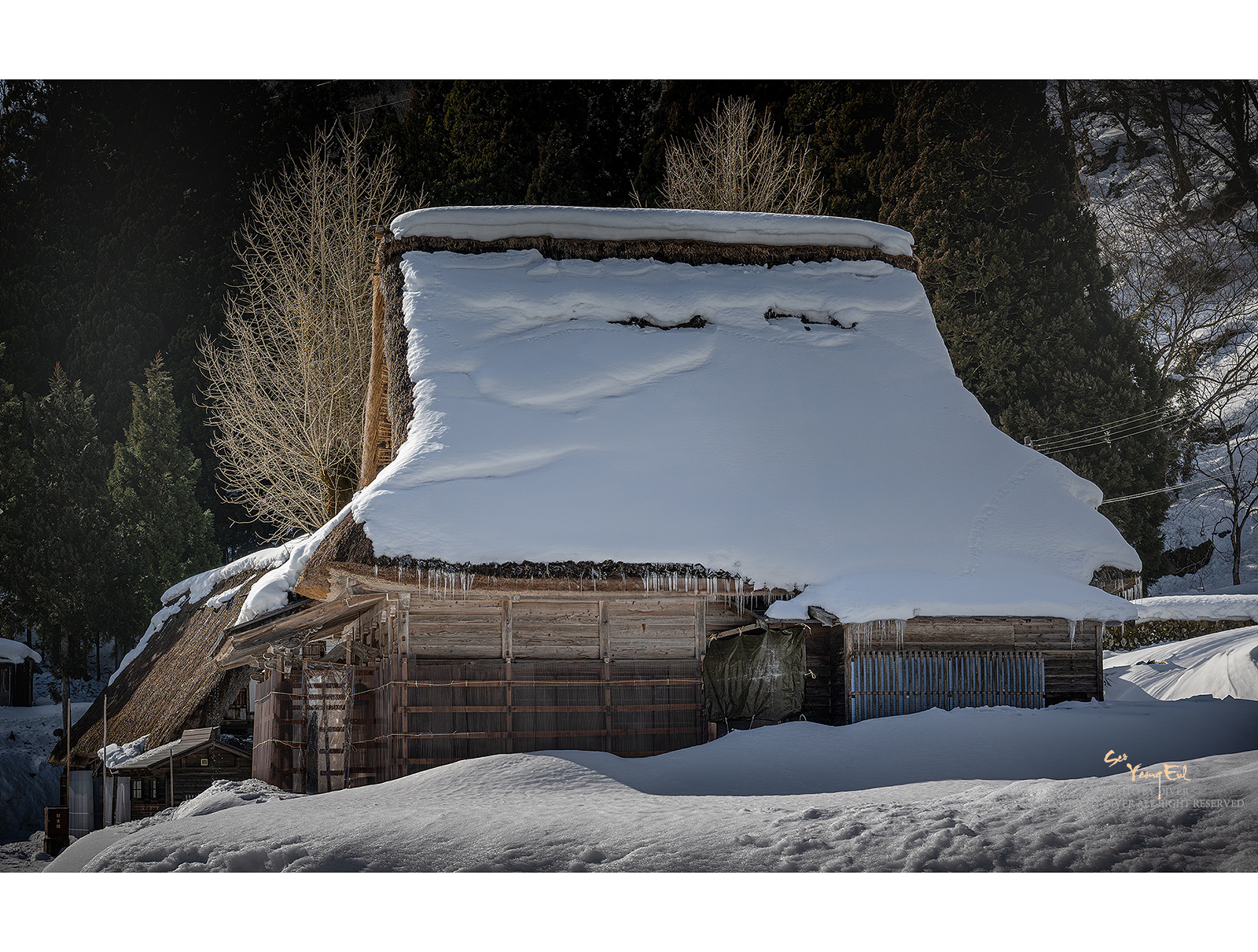 PHOTO BY  | NIKON Z 9 | 2024:02:03 13:24:58 | ISO-100 | 1/500 sec | f 8 | 57 mm | EV=0 | ● WIDTH:1600 pixels  HEIGHT:1211 pixels