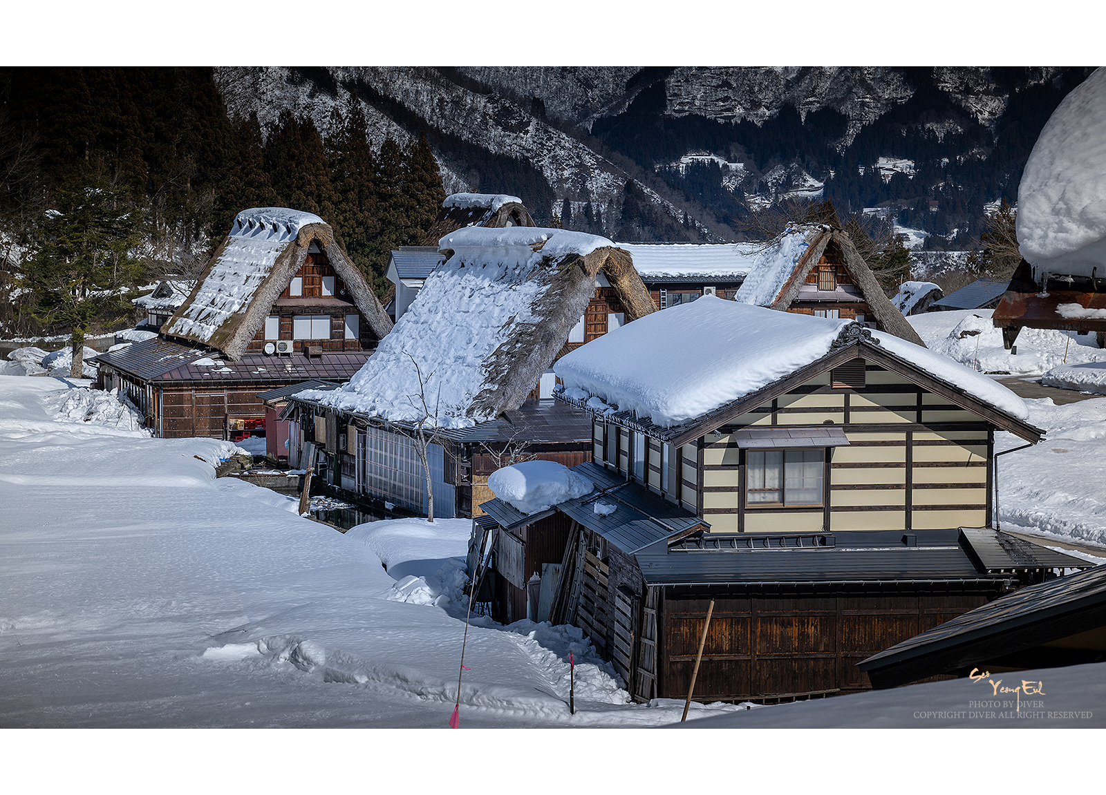 PHOTO BY  | NIKON Z 9 | 2024:02:03 13:33:00 | ISO-100 | 1/800 sec | f 8 | 85 mm | EV=0 | ● WIDTH:1600 pixels  HEIGHT:1151 pixels