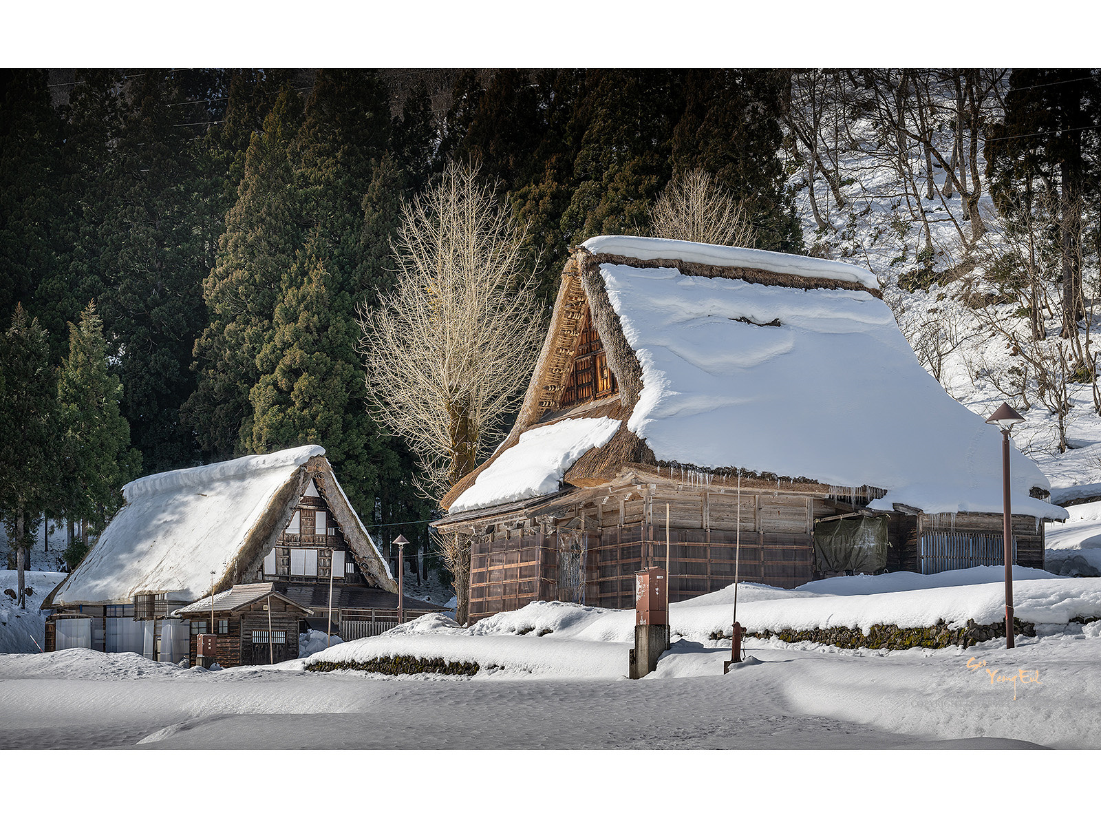 PHOTO BY  | NIKON Z 9 | 2024:02:03 13:25:31 | ISO-100 | 1/500 sec | f 8 | 54 mm | EV=0 | ● WIDTH:1600 pixels  HEIGHT:1188 pixels