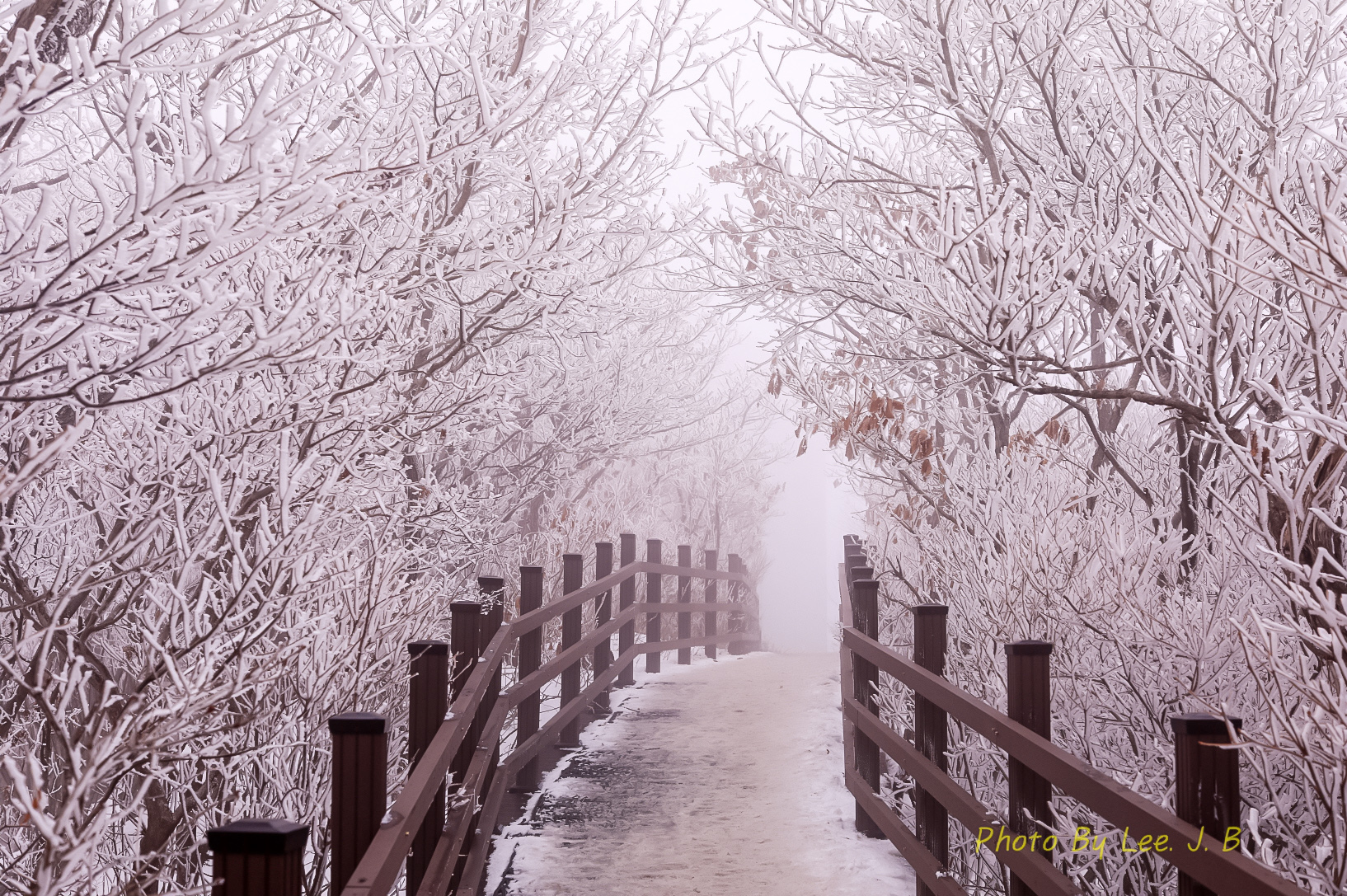 PHOTO BY  | Canon EOS 5D Mark IV | 2024:02:03 15:04:32 | ISO-320 | 1/320 sec | f 7.1 | 50 mm | EV=0.7 | ● WIDTH:1634 pixels  HEIGHT:1087 pixels