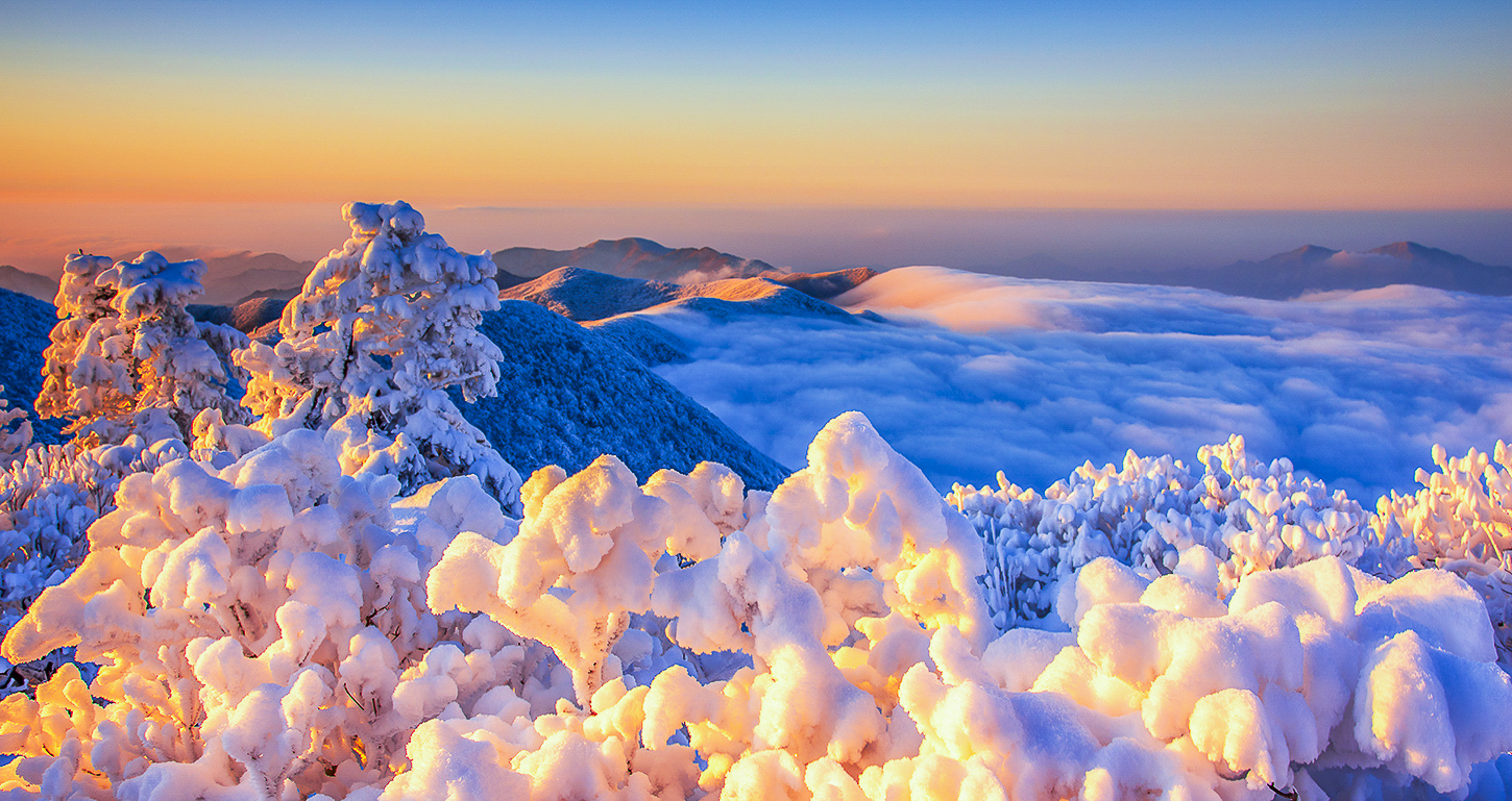 PHOTO BY  | NIKON D810 | 2024:02:08 08:14:00 | ISO-100 | 1/60 sec | f 11 | 31 mm | EV=0 | ● WIDTH:1450 pixels  HEIGHT:769 pixels