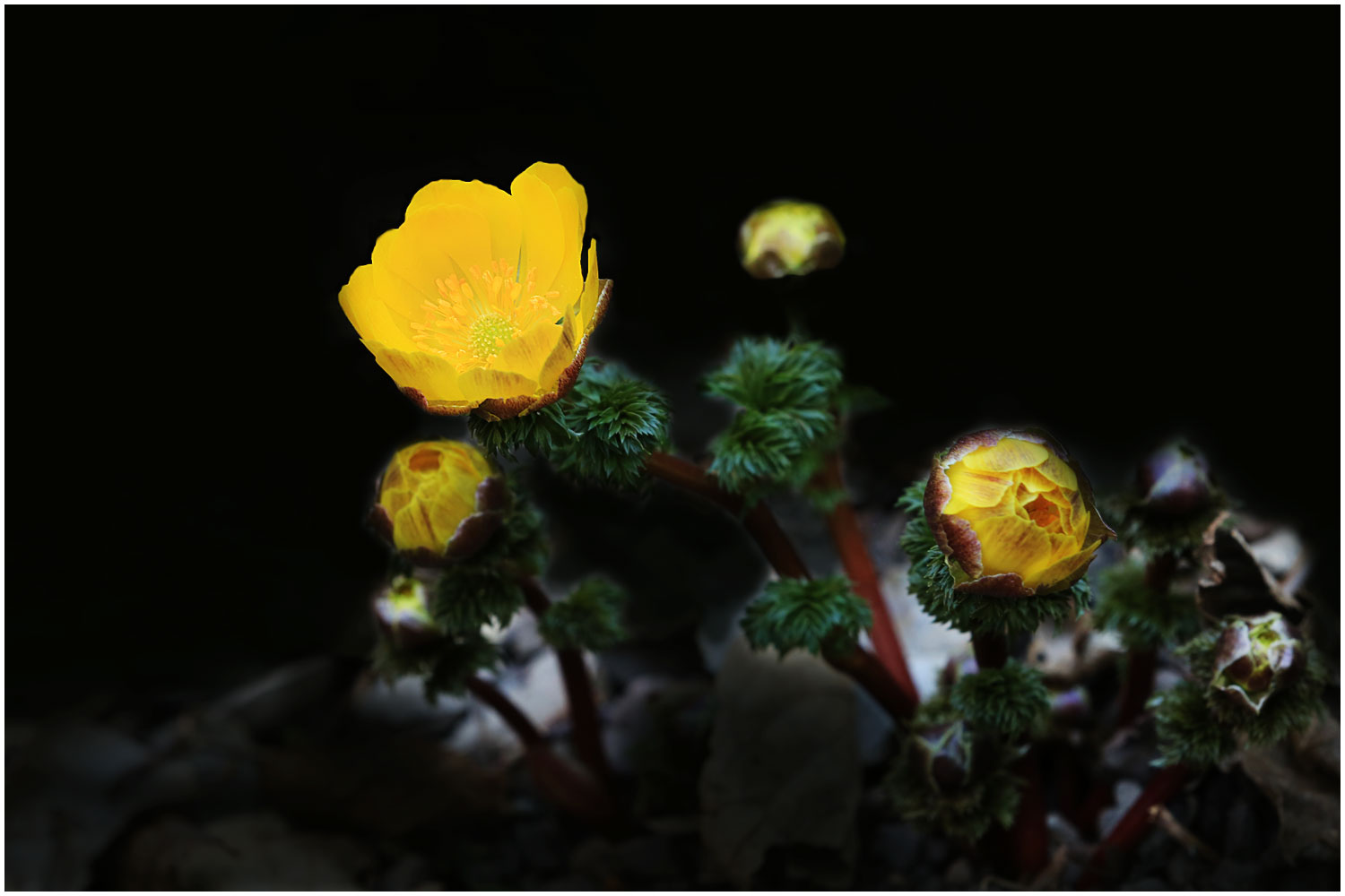 | PHOTO BY : 몰운대/조태열  |