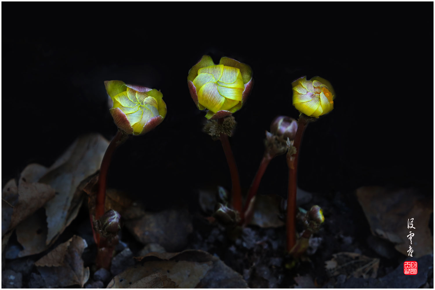 | PHOTO BY : 몰운대/조태열  |