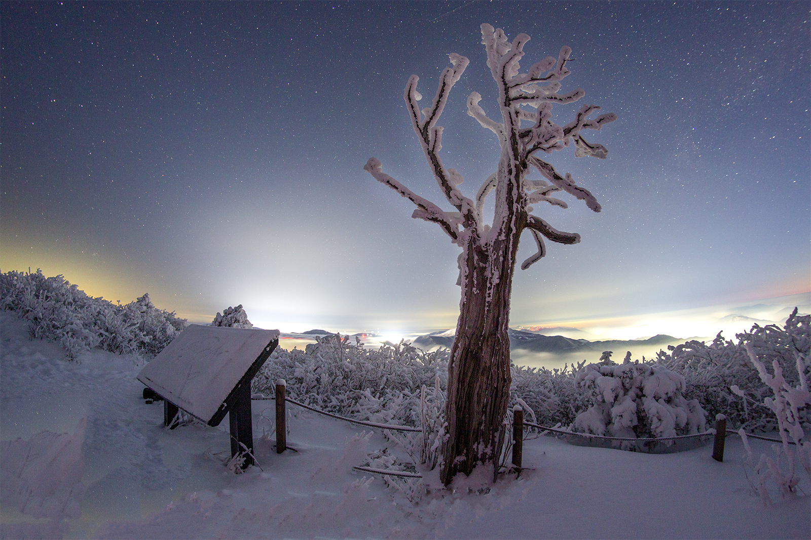 PHOTO BY MINKYUKIM | Canon EOS 5D Mark III | 2024:02:08 05:50:39 | ISO-800 | 30/1 sec |  |  | EV=0 | ● WIDTH:1600 pixels  HEIGHT:1067 pixels