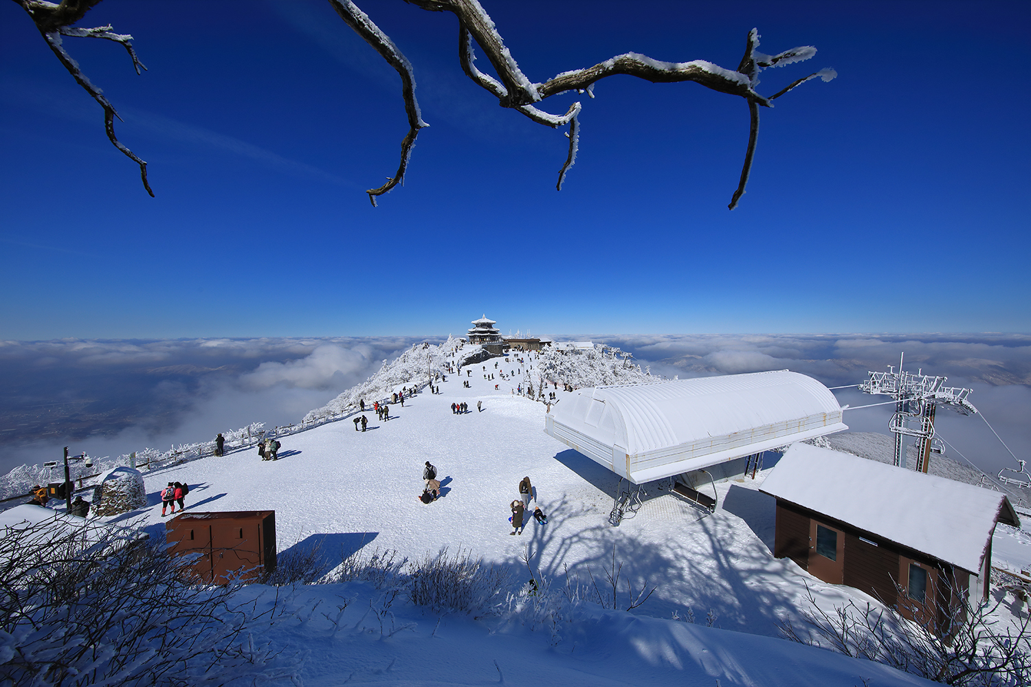 PHOTO BY  | Canon EOS 5D Mark IV | 2024:02:07 11:49:07 | ISO-320 | 1/1250 sec | f 13 | 11 mm | EV=0 | ● WIDTH:1500 pixels  HEIGHT:1000 pixels