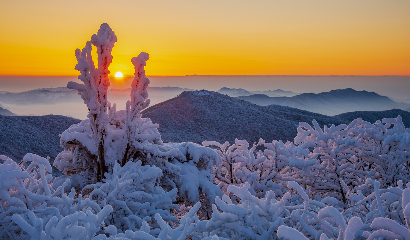 PHOTO BY  | NIKON D810 | 2024:02:08 07:53:09 | ISO-100 | 1/20 sec | f 11 | 58 mm | EV=0.3 | ● WIDTH:1400 pixels  HEIGHT:821 pixels