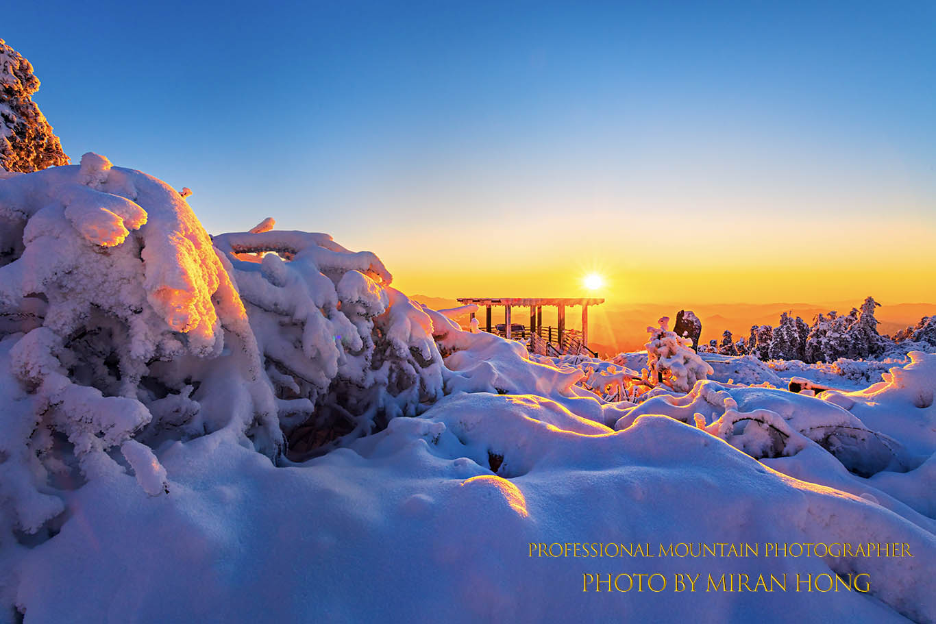 | PHOTO BY : 홍미란  |