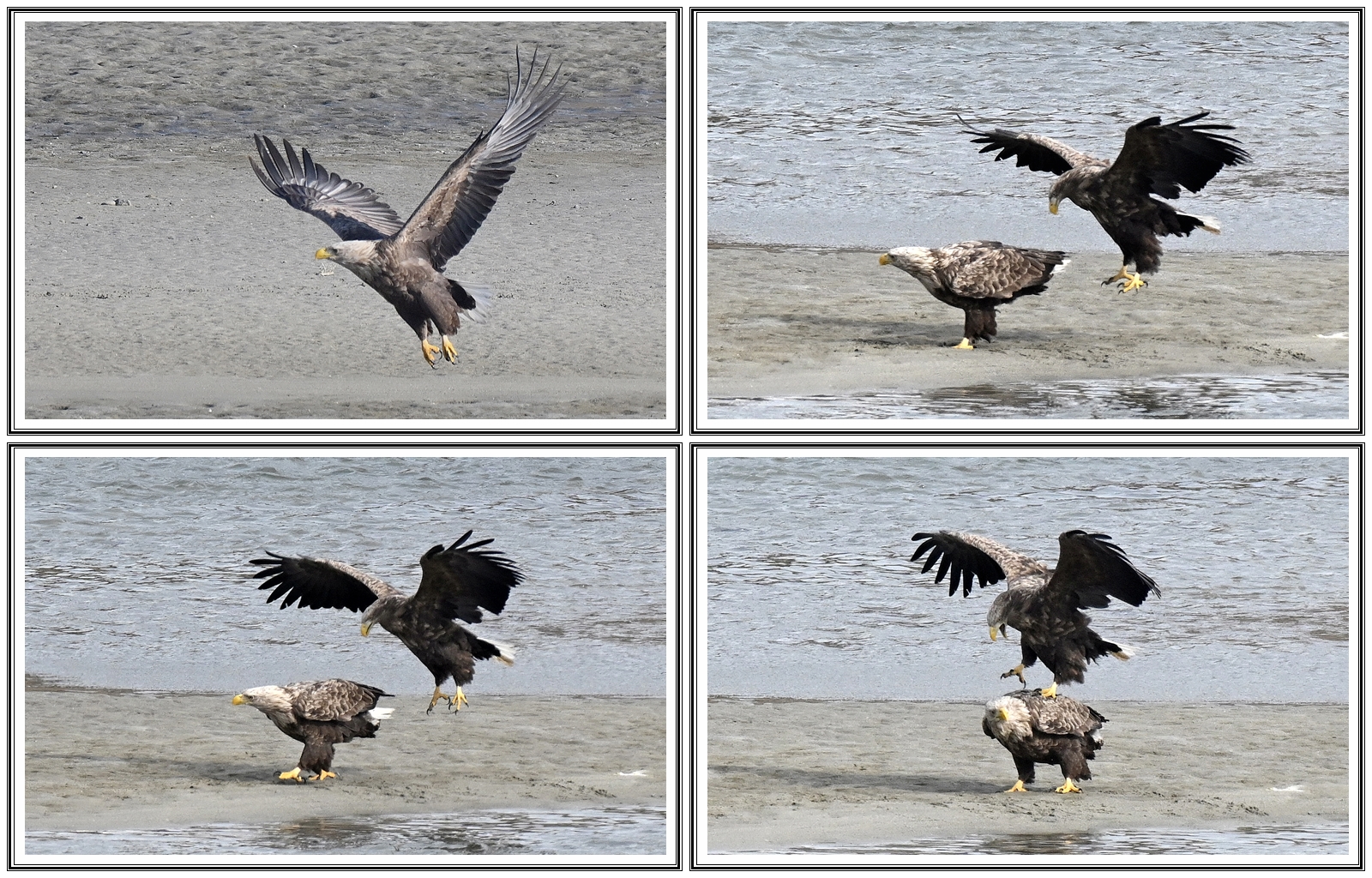   | PHOTO BY : 청산이종원  |