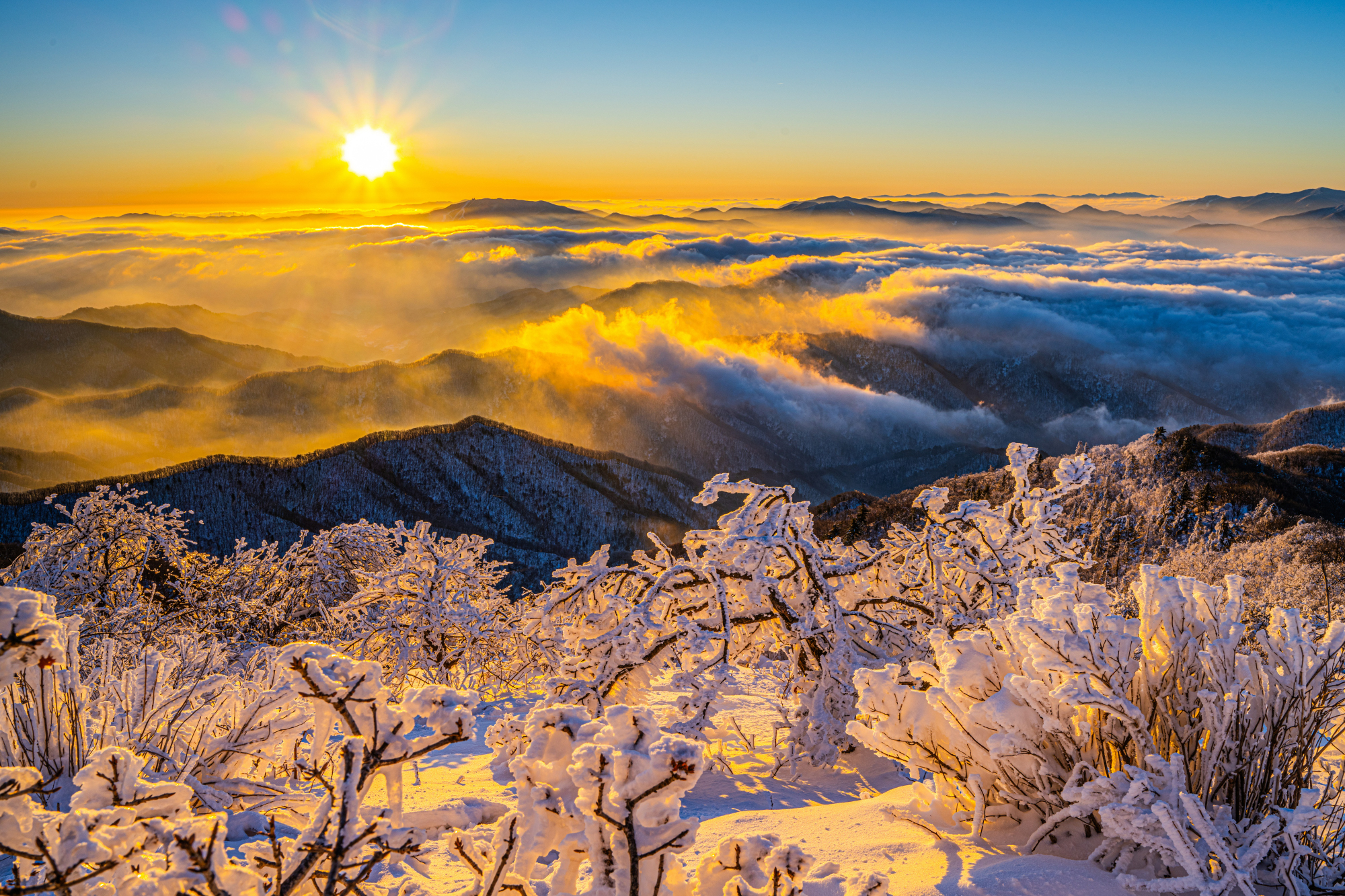 PHOTO BY CHUNG HYUN SUK | NIKON Z 7_2 | 2024:02:04 07:52:58 | ISO-100 | 1/40 sec | f 13 | 30 mm | EV=-0.3 | ● WIDTH:2000 pixels  HEIGHT:1333 pixels