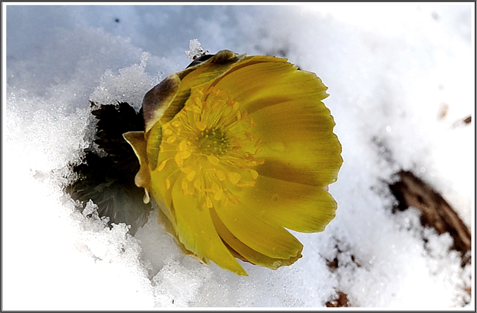 PHOTO BY HAN HAEHWA                           | NIKON D3 | 2024:02:11 14:05:07 | ISO-200 | 1/250 sec | f 8 | 50 mm | EV=1 | ● WIDTH:2784 pixels  HEIGHT:1848 pixels