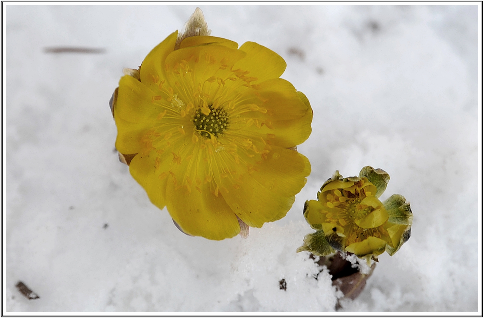 PHOTO BY HAN HAEHWA                           | NIKON D3 | 2024:02:11 14:06:49 | ISO-200 | 1/160 sec | f 5.6 | 46 mm | EV=0.3 | ● WIDTH:2784 pixels  HEIGHT:1848 pixels
