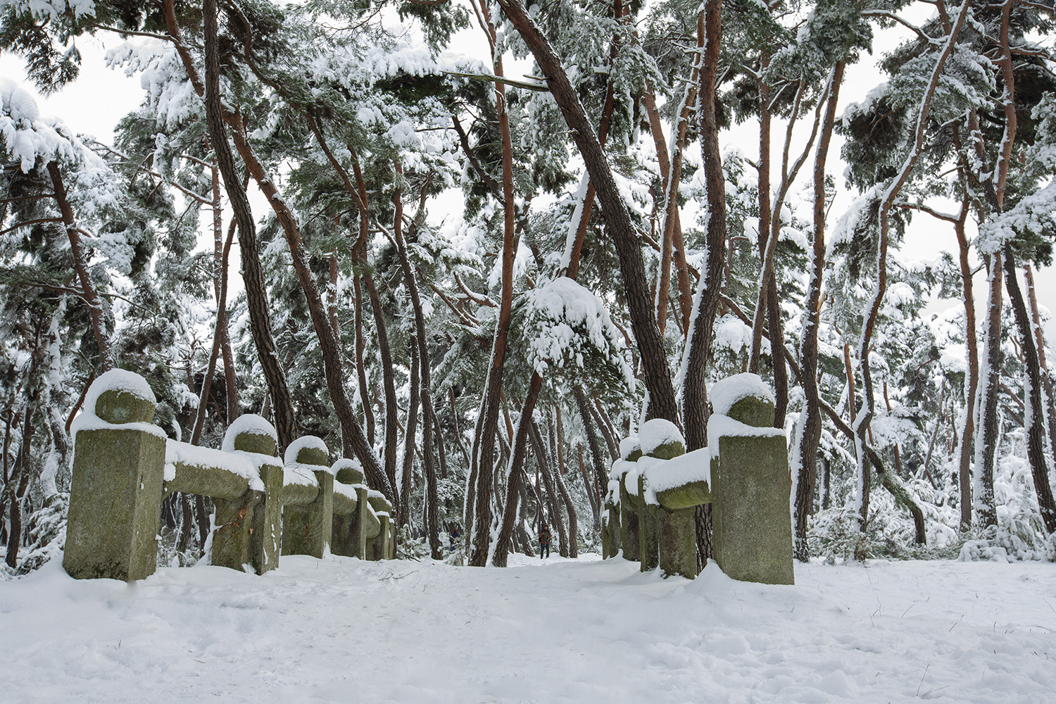 PHOTO BY  | Canon EOS 5D Mark III |  | ISO-50 | 1/15 sec | f 13 | 35 mm | EV=0.7 | ● WIDTH:1500 pixels  HEIGHT:1000 pixels