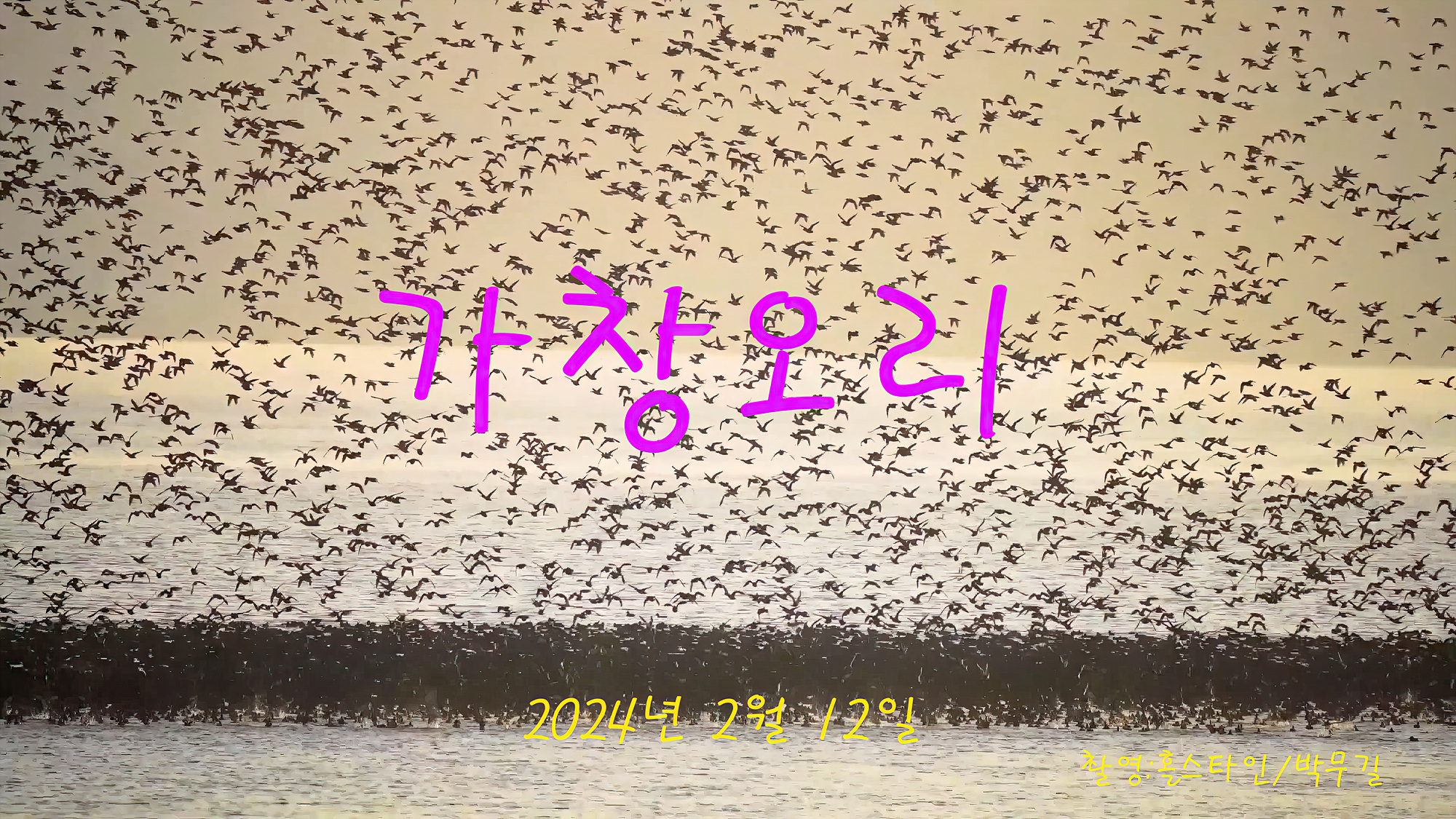   | PHOTO BY : 홀스타인/박무길  |